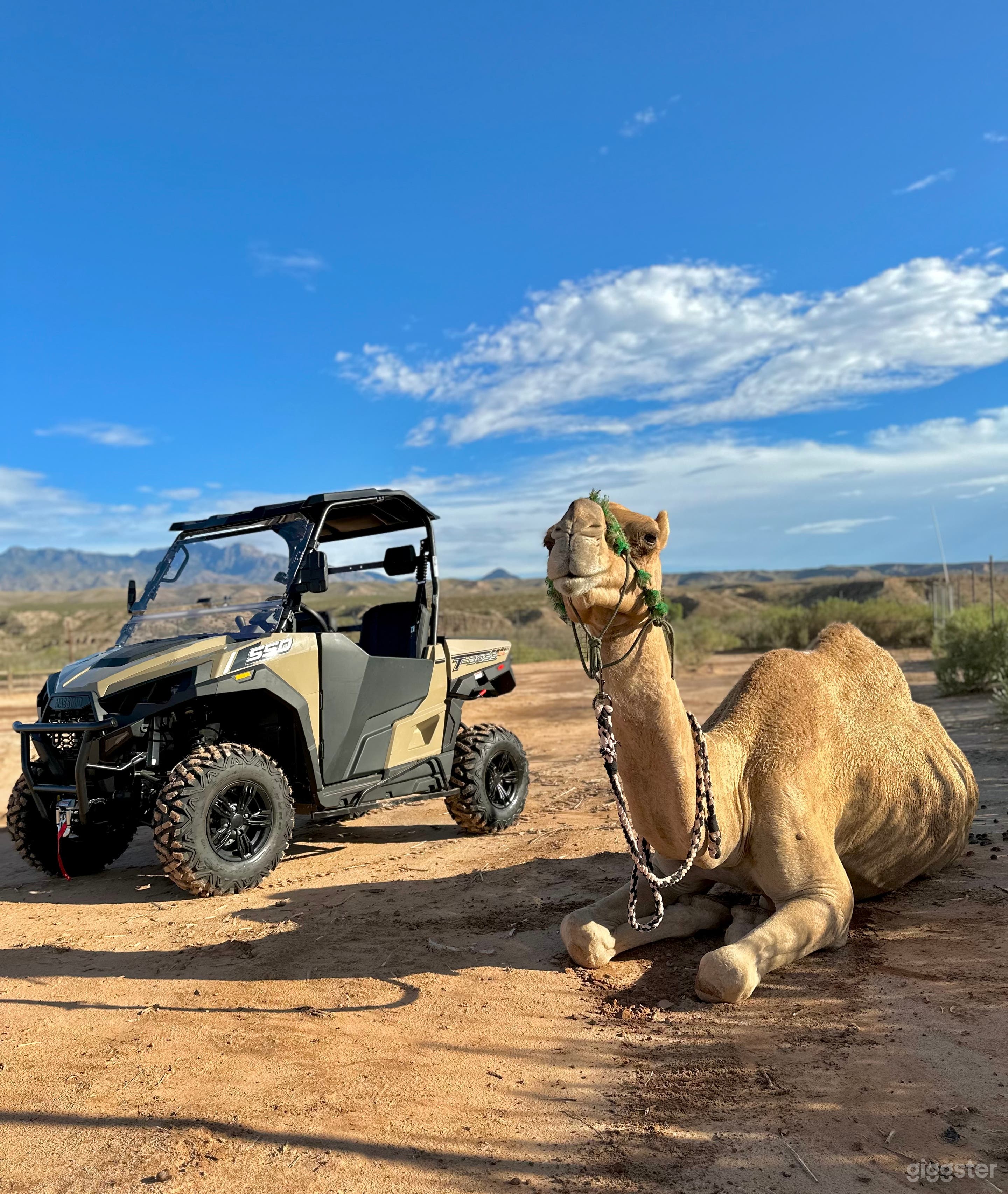 Camel Safari - 176-acre Rural Desert Venue Photo 3