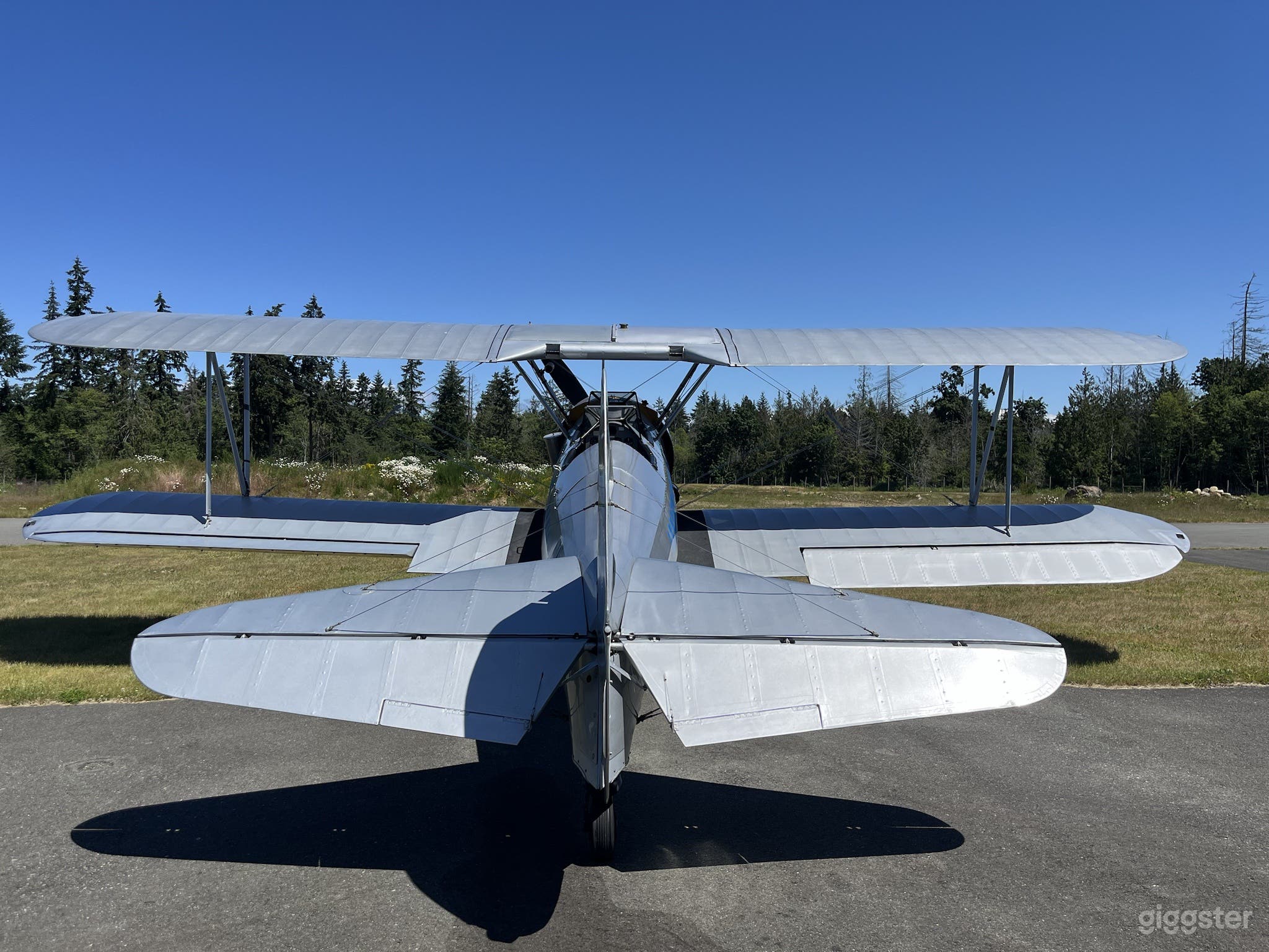Ex US Army Air corps Boeing Stearman Photo 4