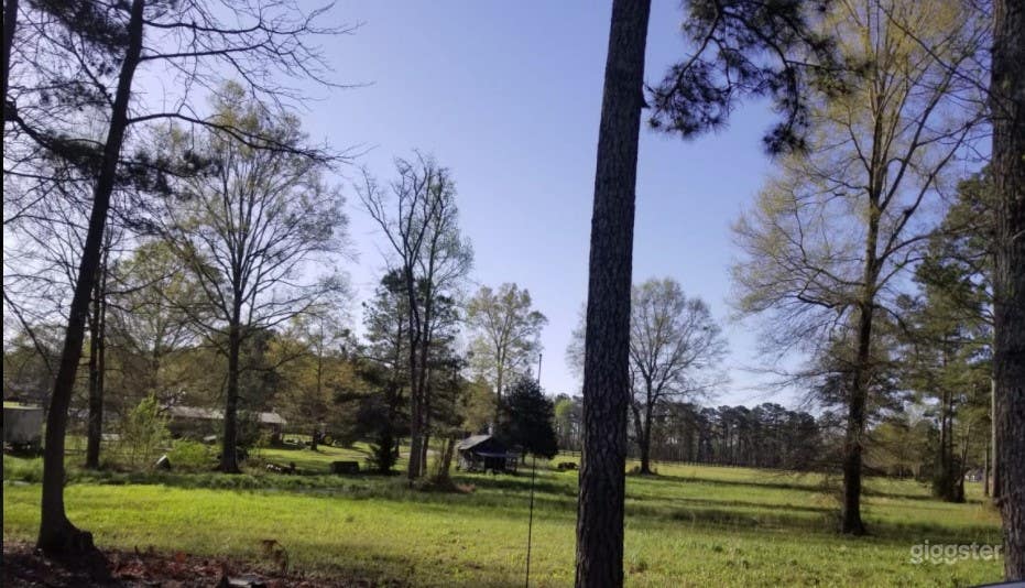 DIRT ROAD FARM Photo 4