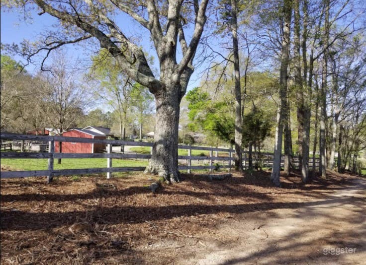 DIRT ROAD FARM Photo 2