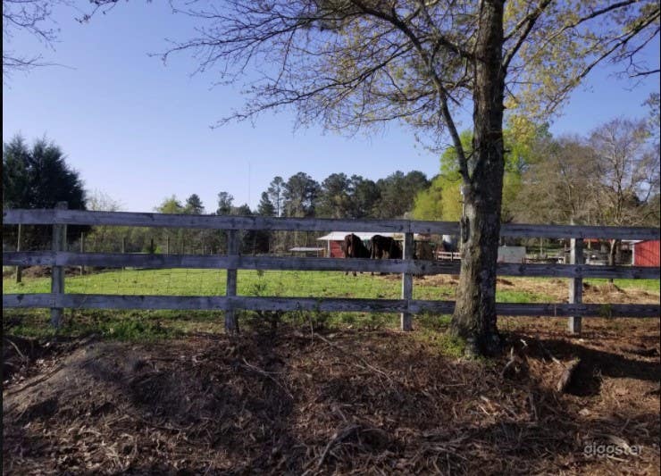 DIRT ROAD FARM Photo 3