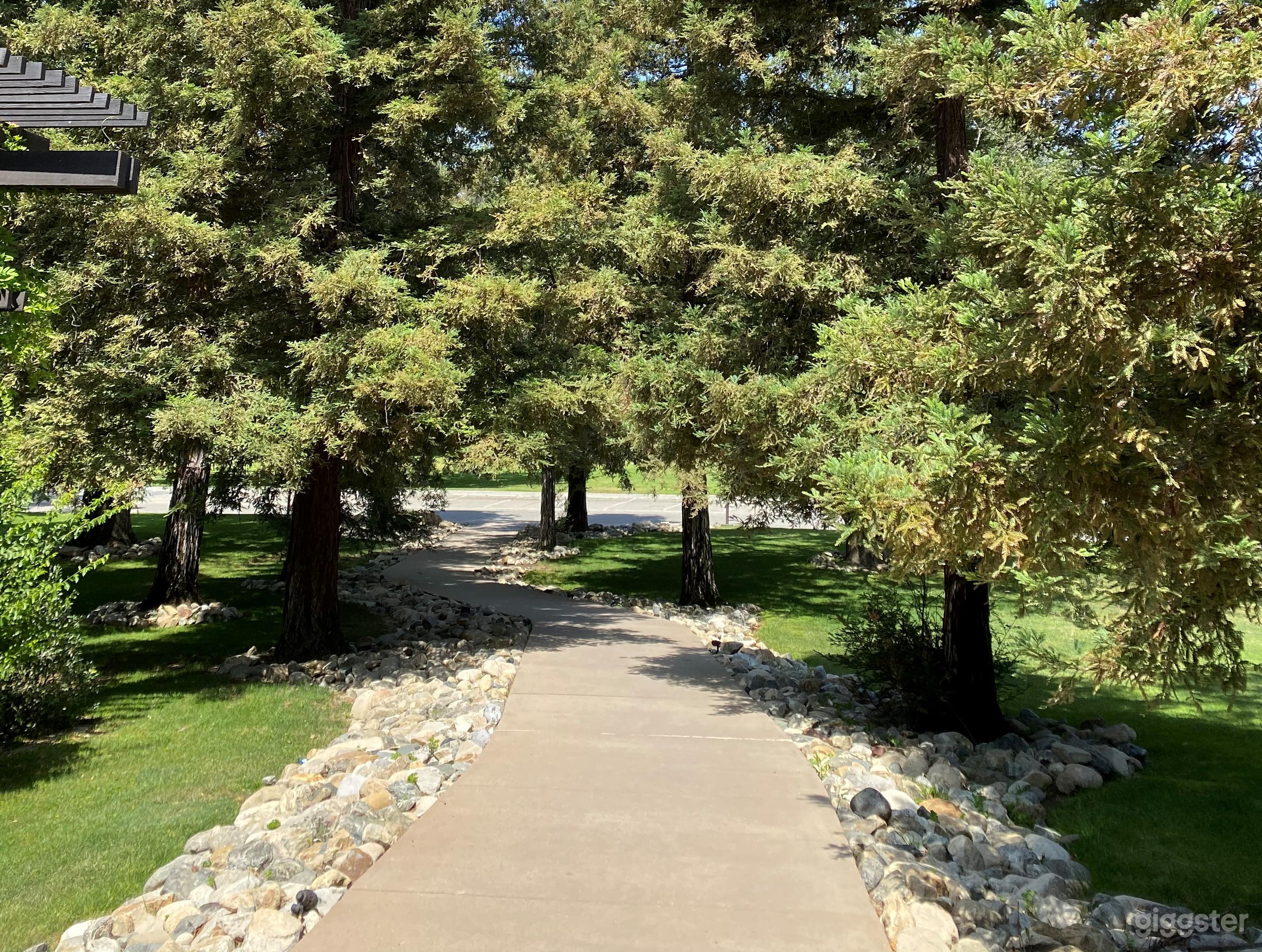 Stately entrance walkway graced by Redwoods and sweeping lawns