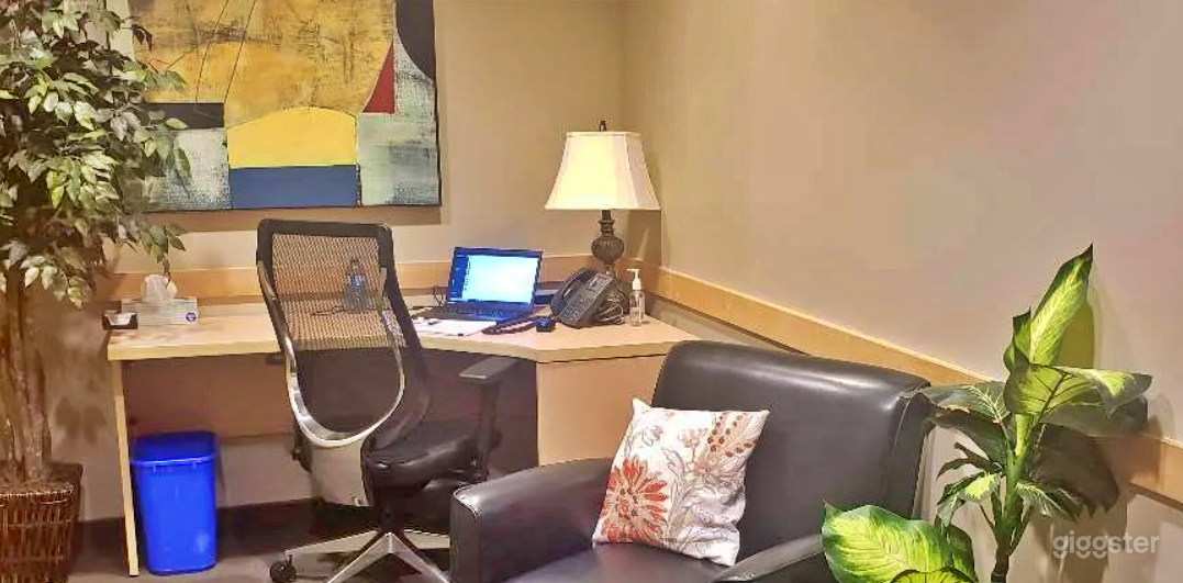 Counsellor’s Office for Meetings  Photo 2