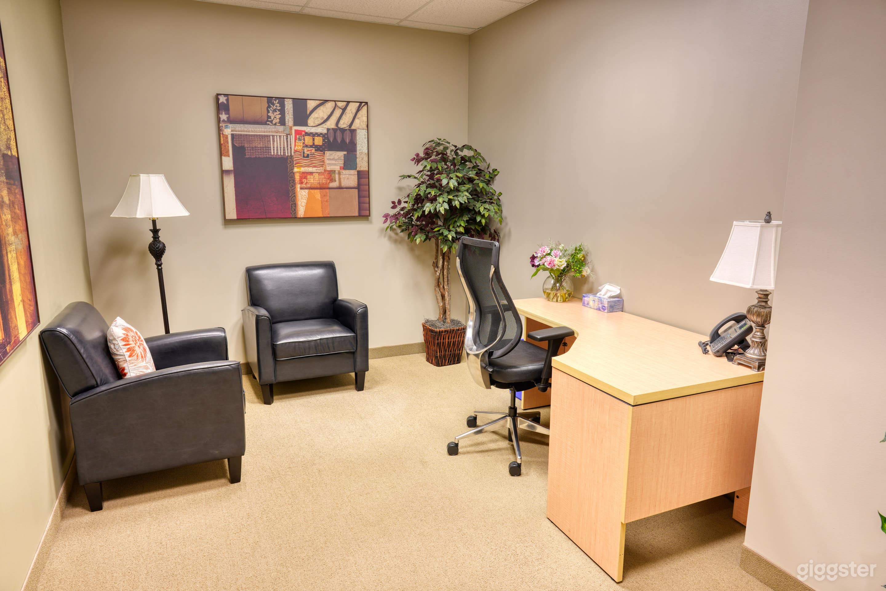 Counsellor’s Office for Meetings  Photo 1