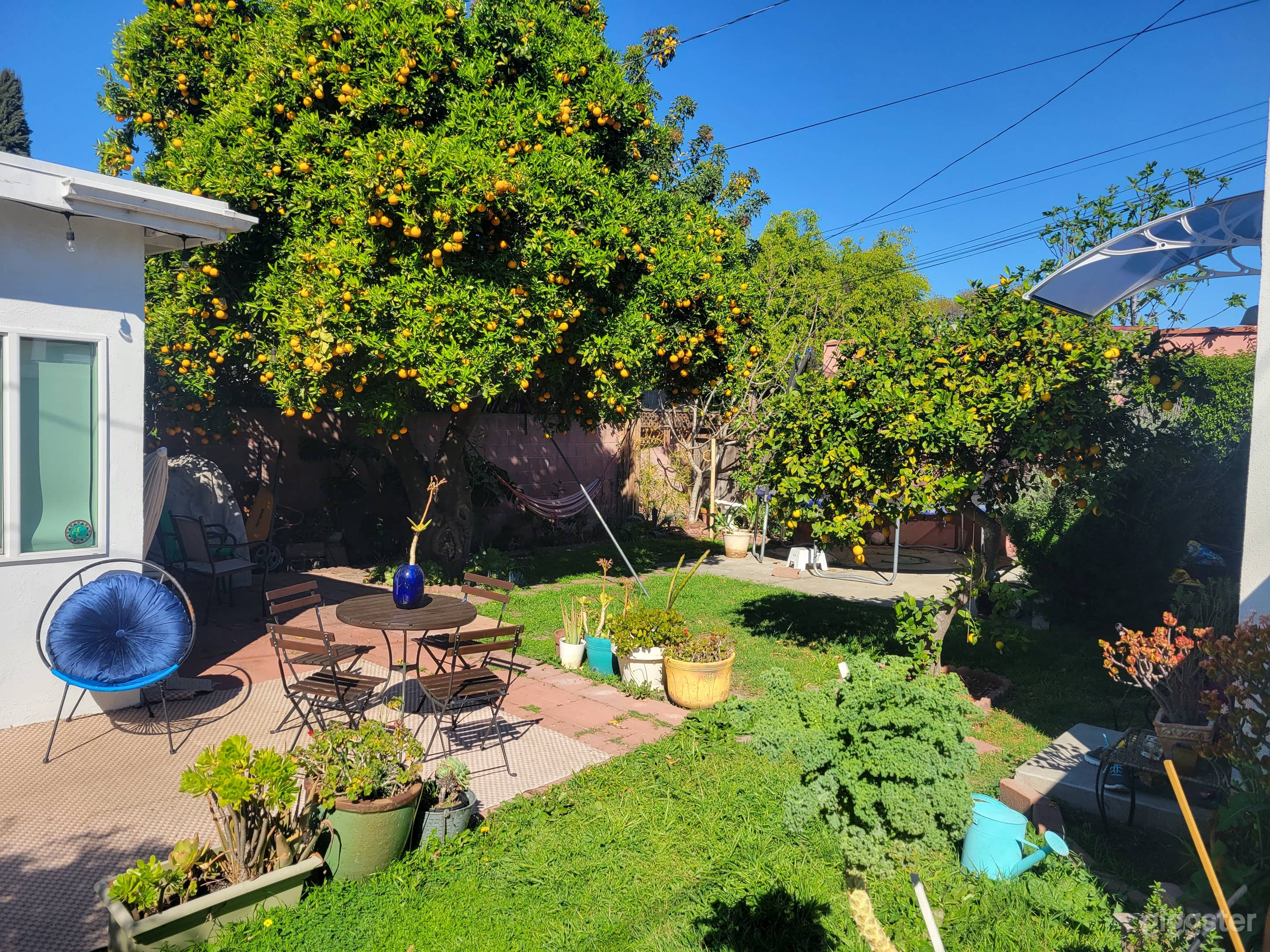 Near DTLA Zen Backyard and Front patio Photo 1