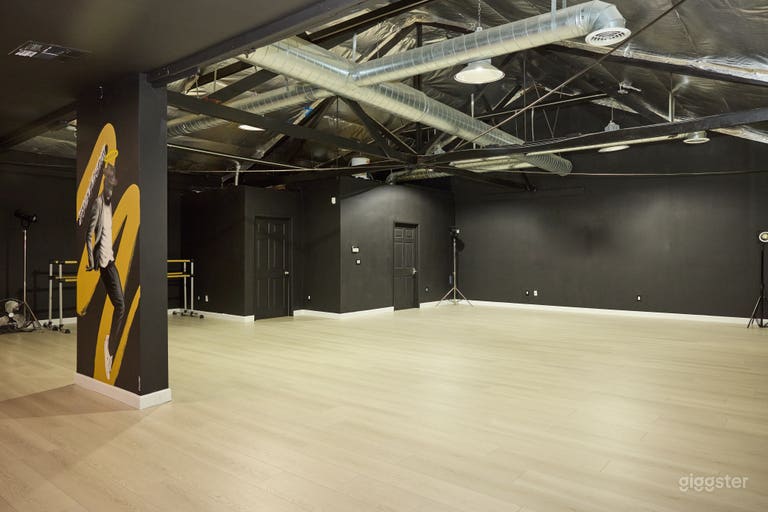  Premium 1700 Sq Ft haven will full coverage house lighting. 