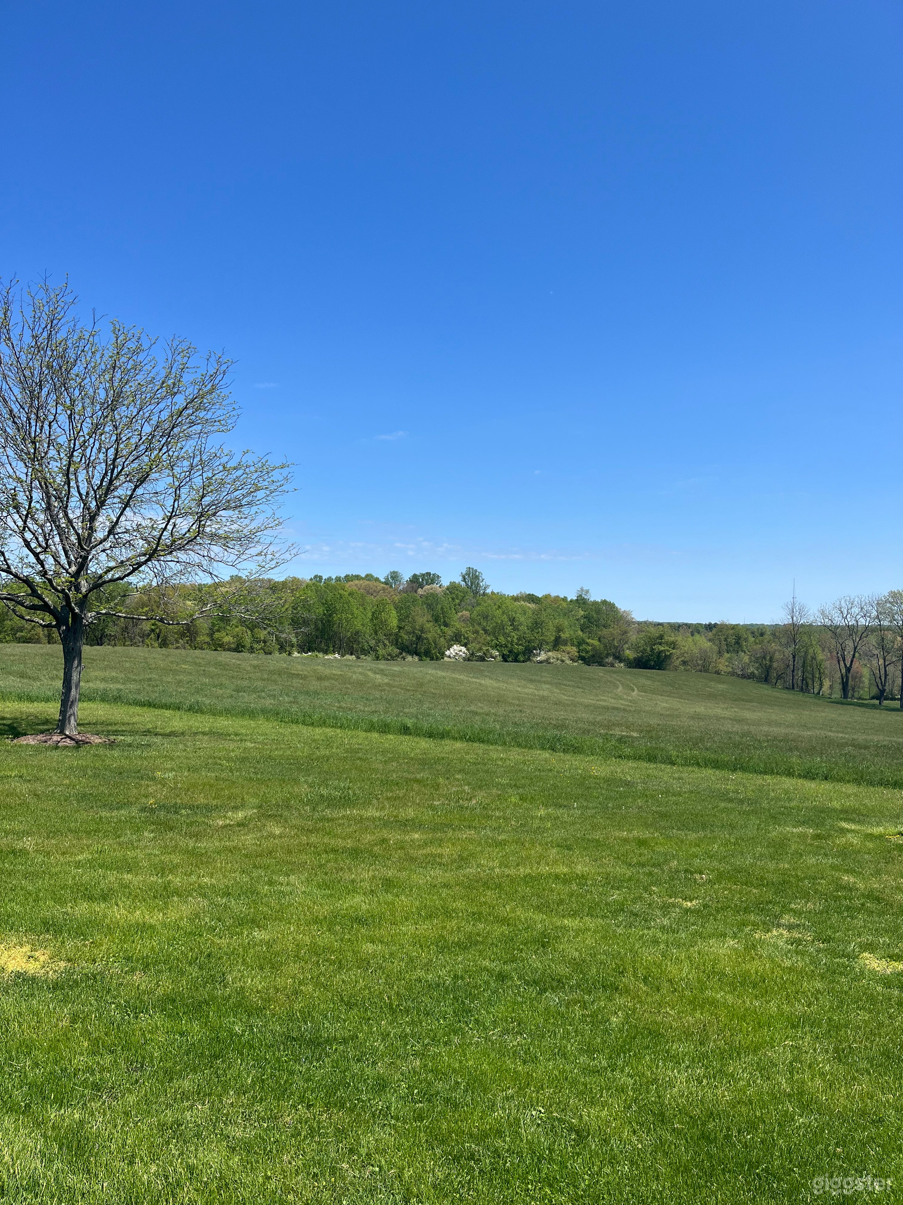 Country Canvas Photo 2