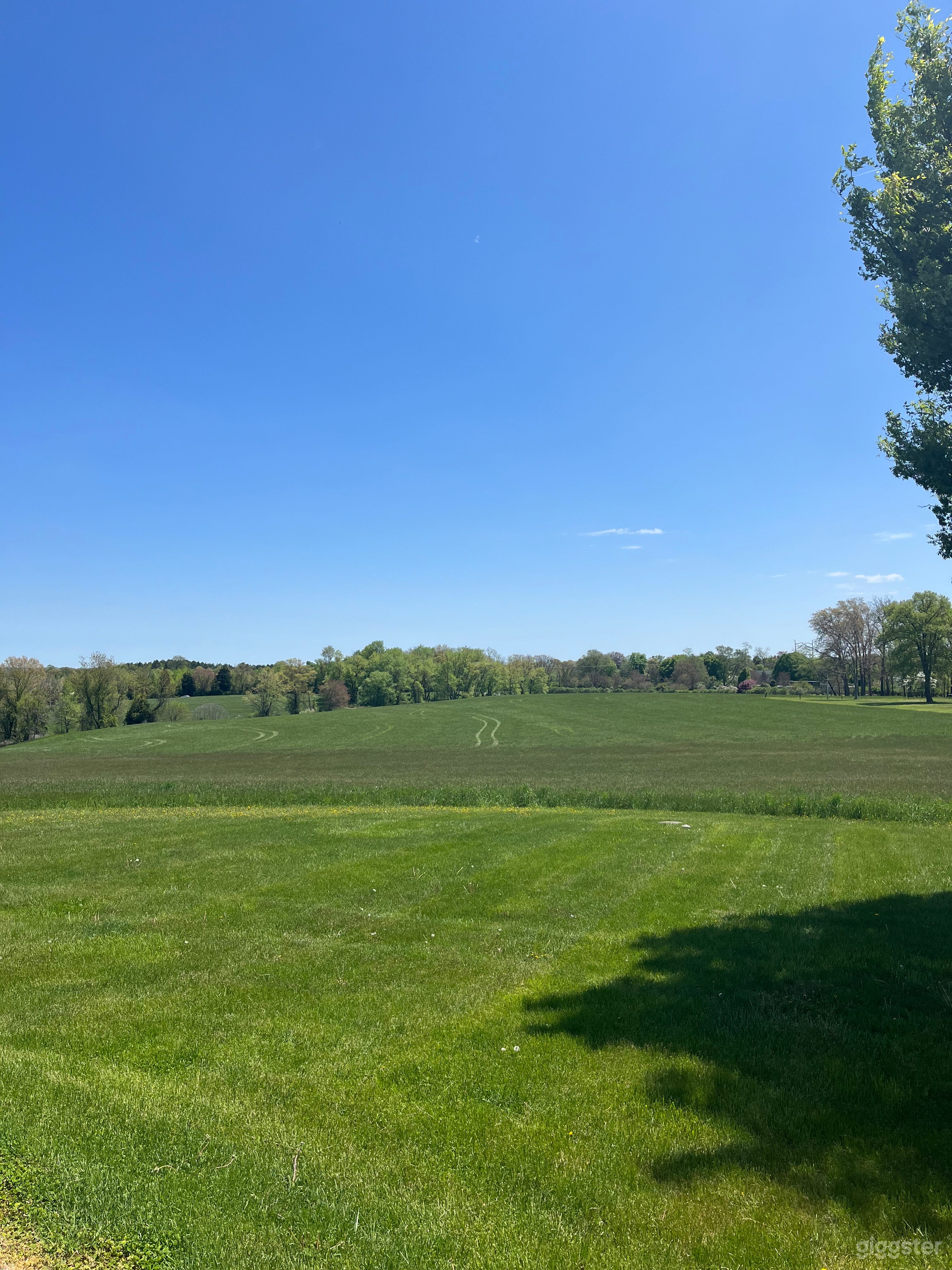 Country Canvas Photo 1