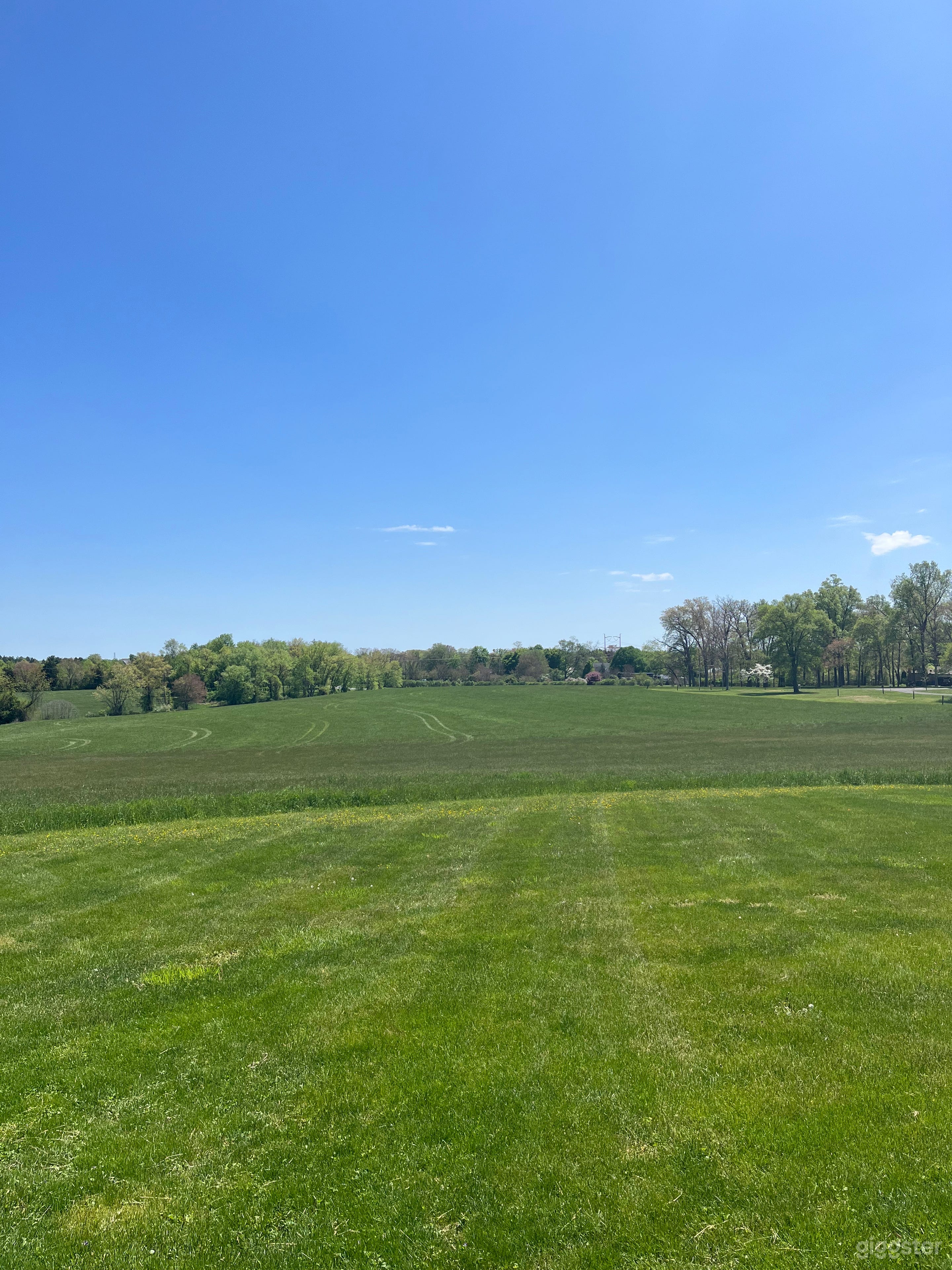 Country Canvas Photo 3