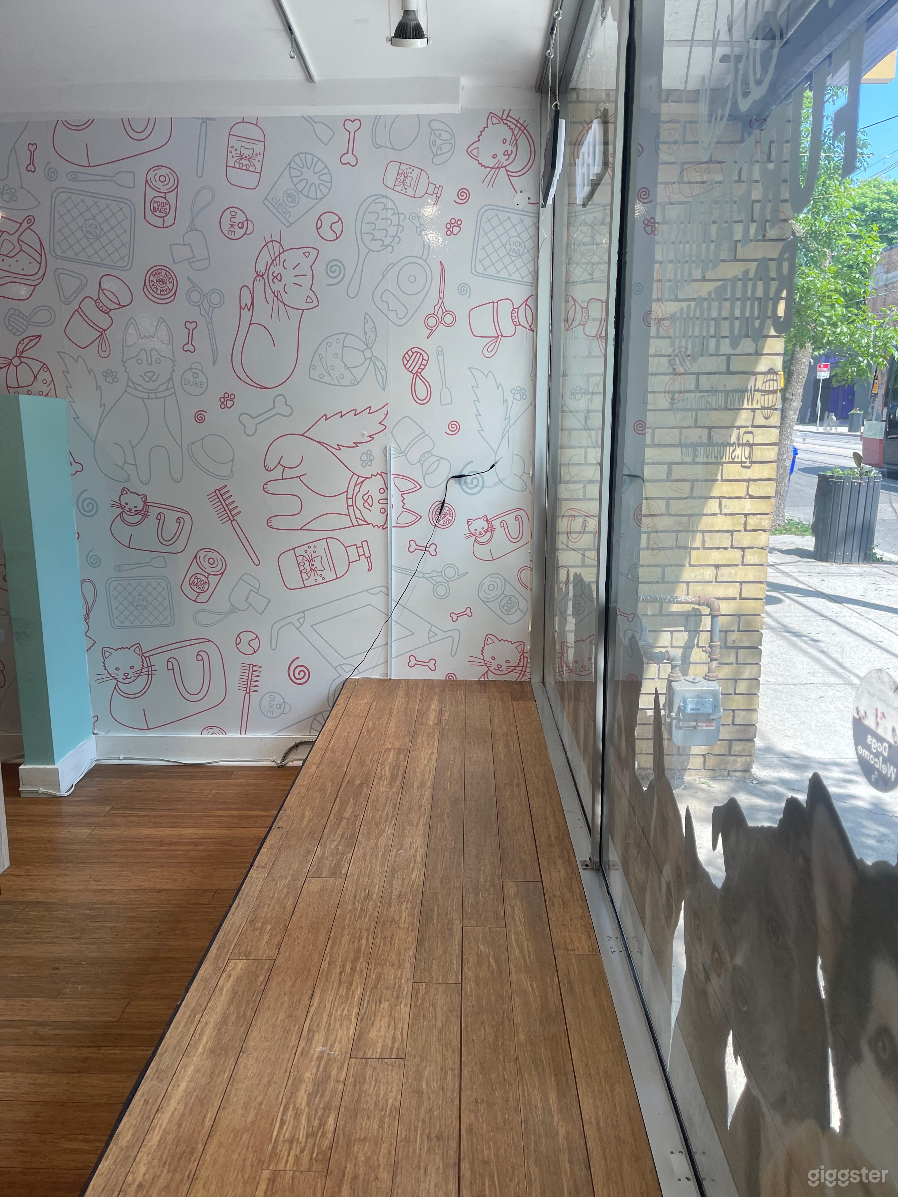 Stunning Retail Pet Store For POP Up Shops/Events Photo 2