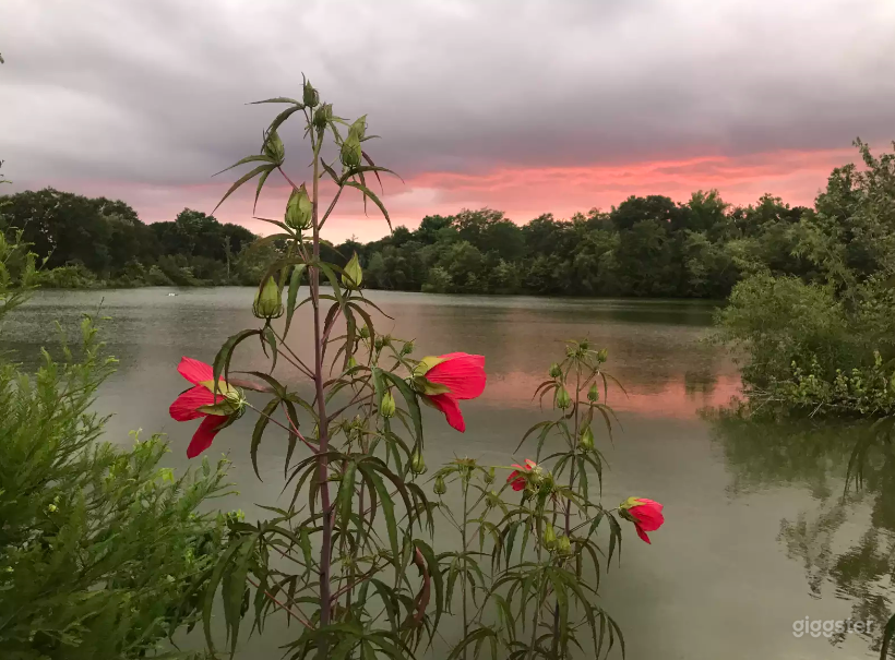 The Black Water River in Zuni Photo 3