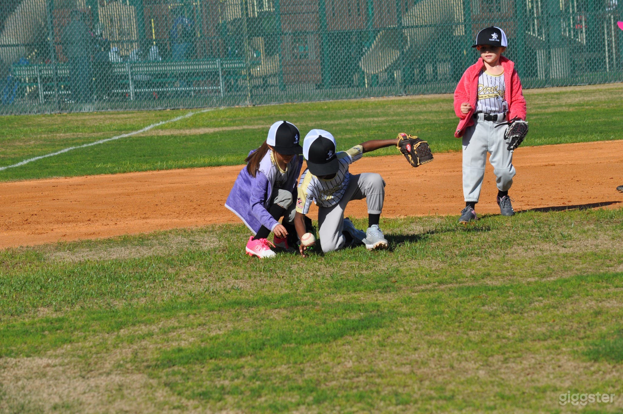 Wrigley Field Photo 3