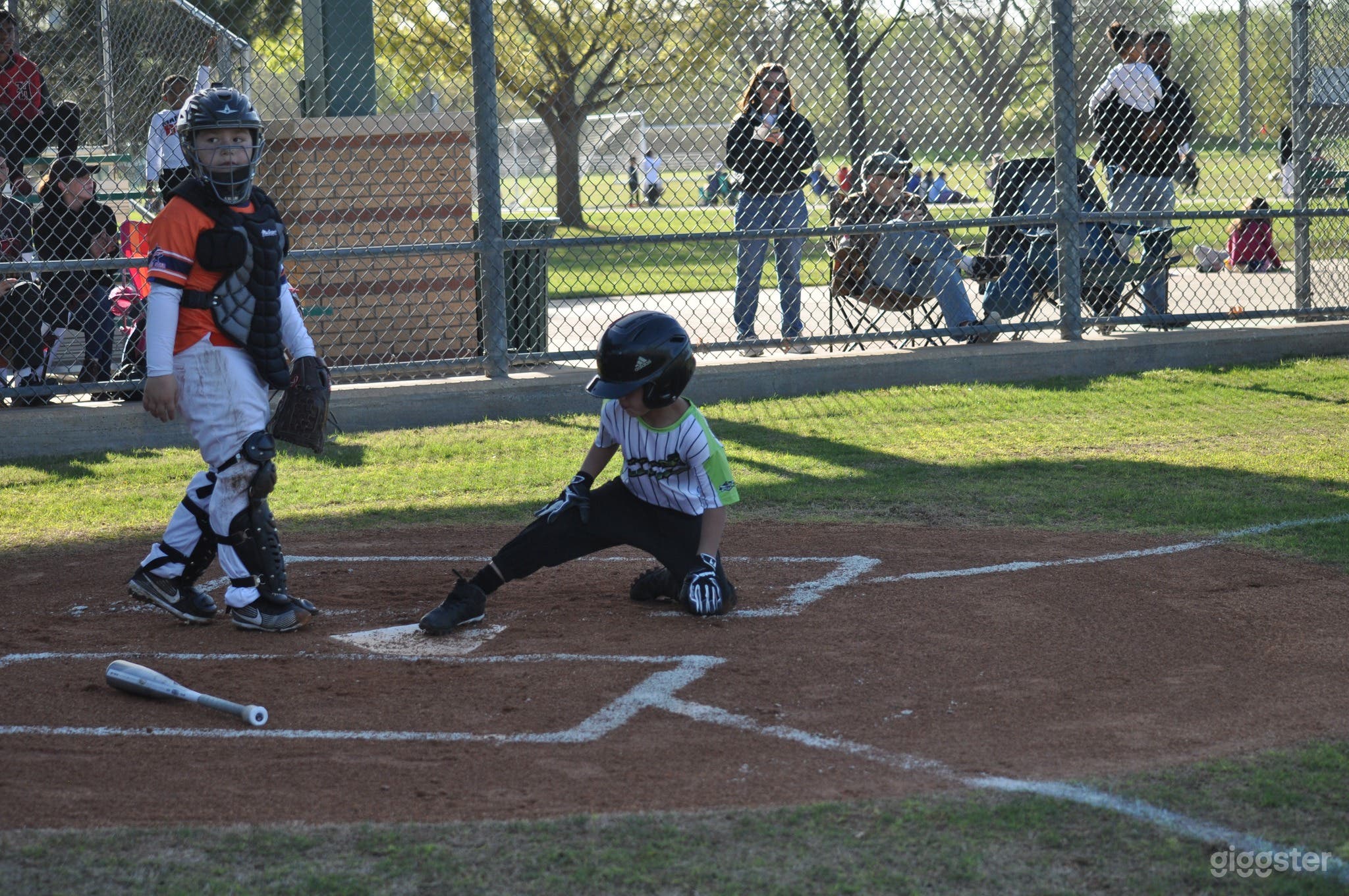 Wrigley Field Photo 2