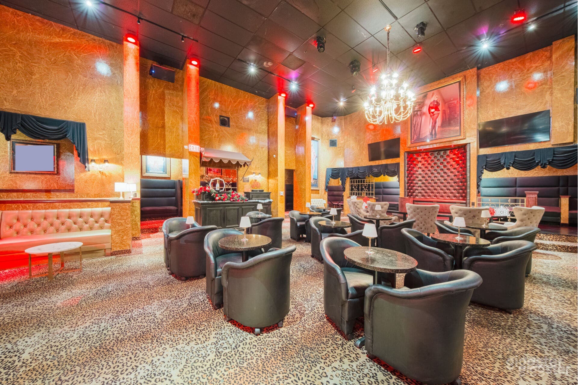 LEOPARD GOLDEN VELVET LOUNGE Photo 3