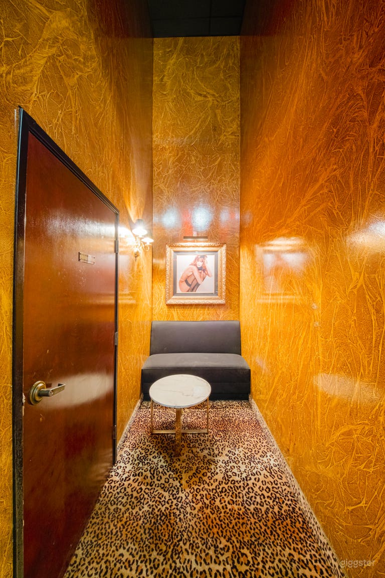  LEOPARD GOLDEN VELVET LOUNGE 