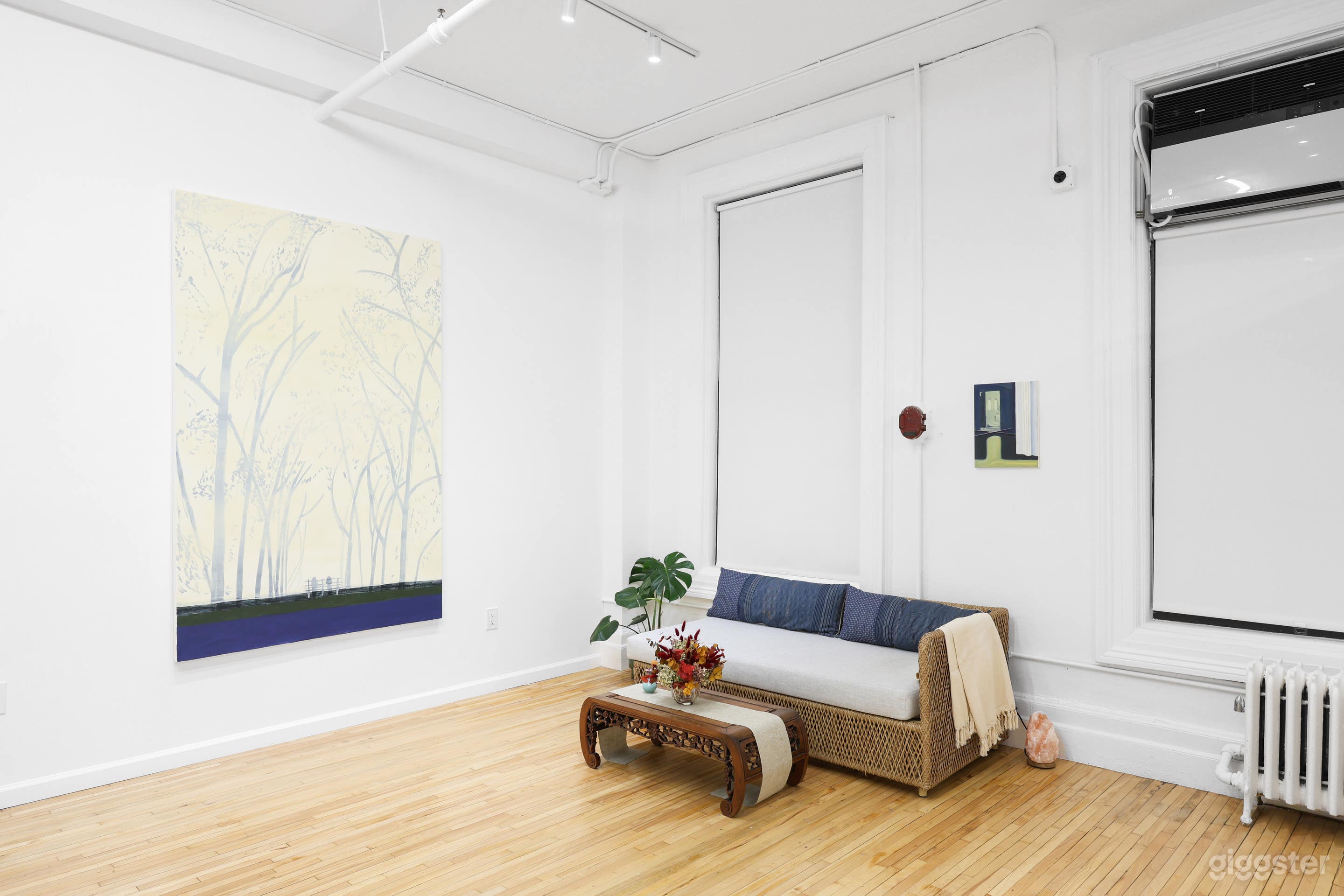 Art Gallery on 5th Avenue in Manhattan Photo 3