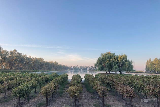 All In One Event Space and Vineyard in  California Photo 4