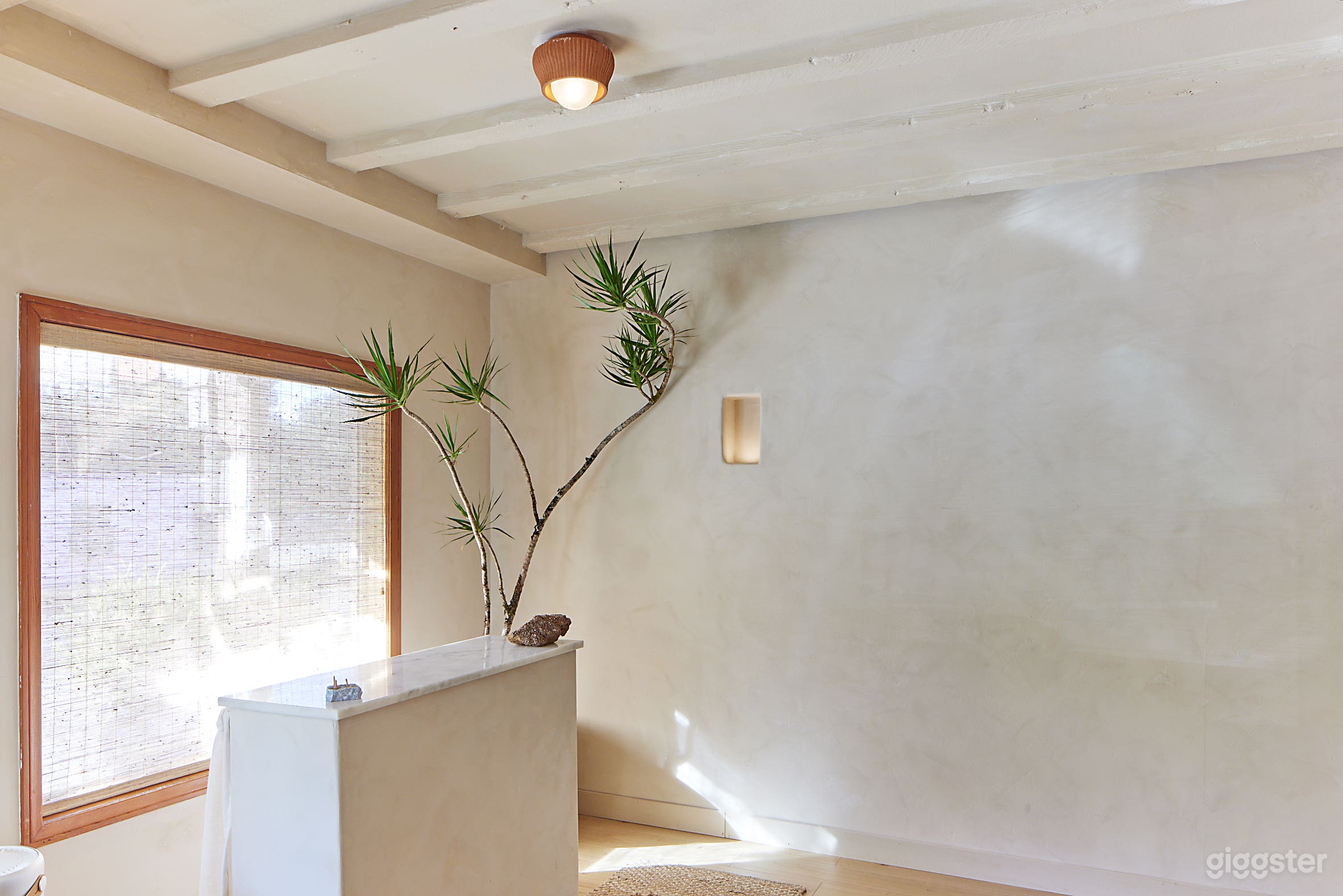 Minimalistic with a Natural Feel  Photo 4