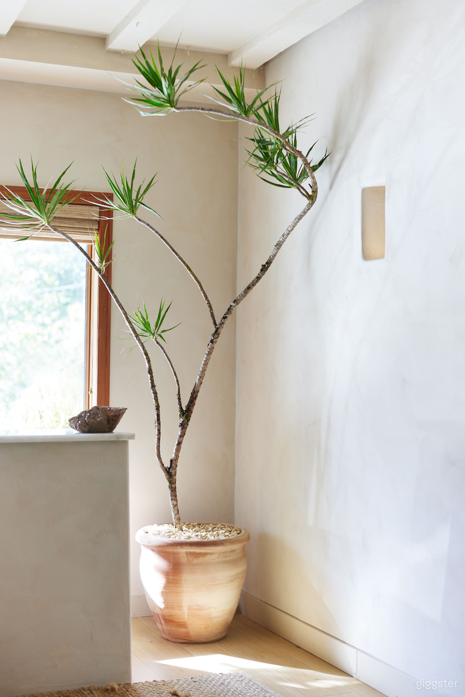 Minimalistic with a Natural Feel  Photo 3