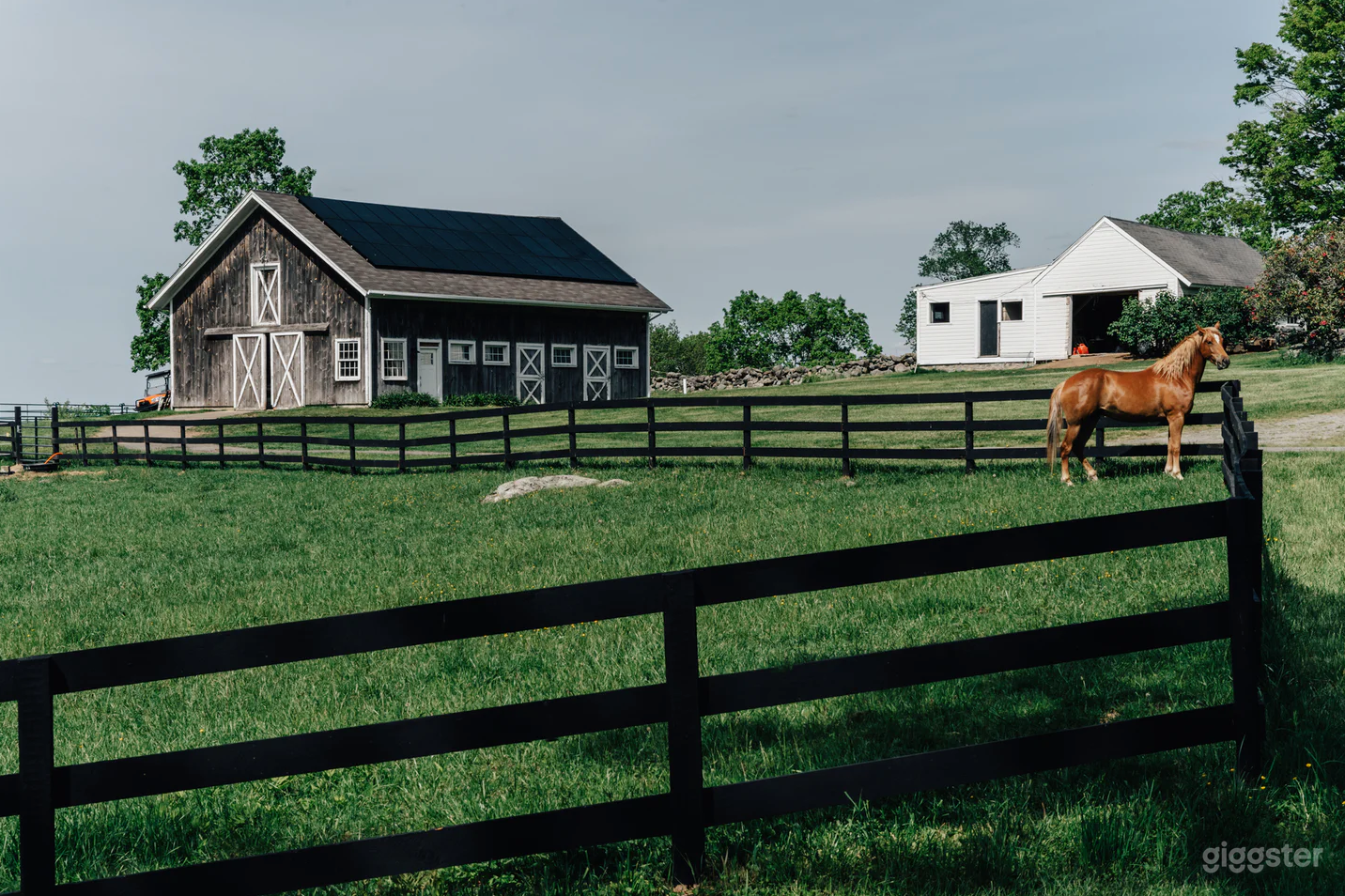 Horses are available as props and for seasoned riders. Tack both English and western available. Main barn is now Black on Black