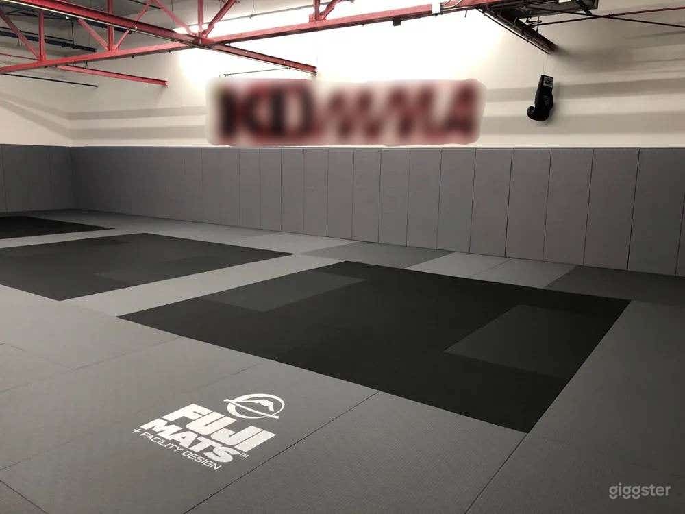 Spacious Fully Equipped Gym for Productions Photo 3