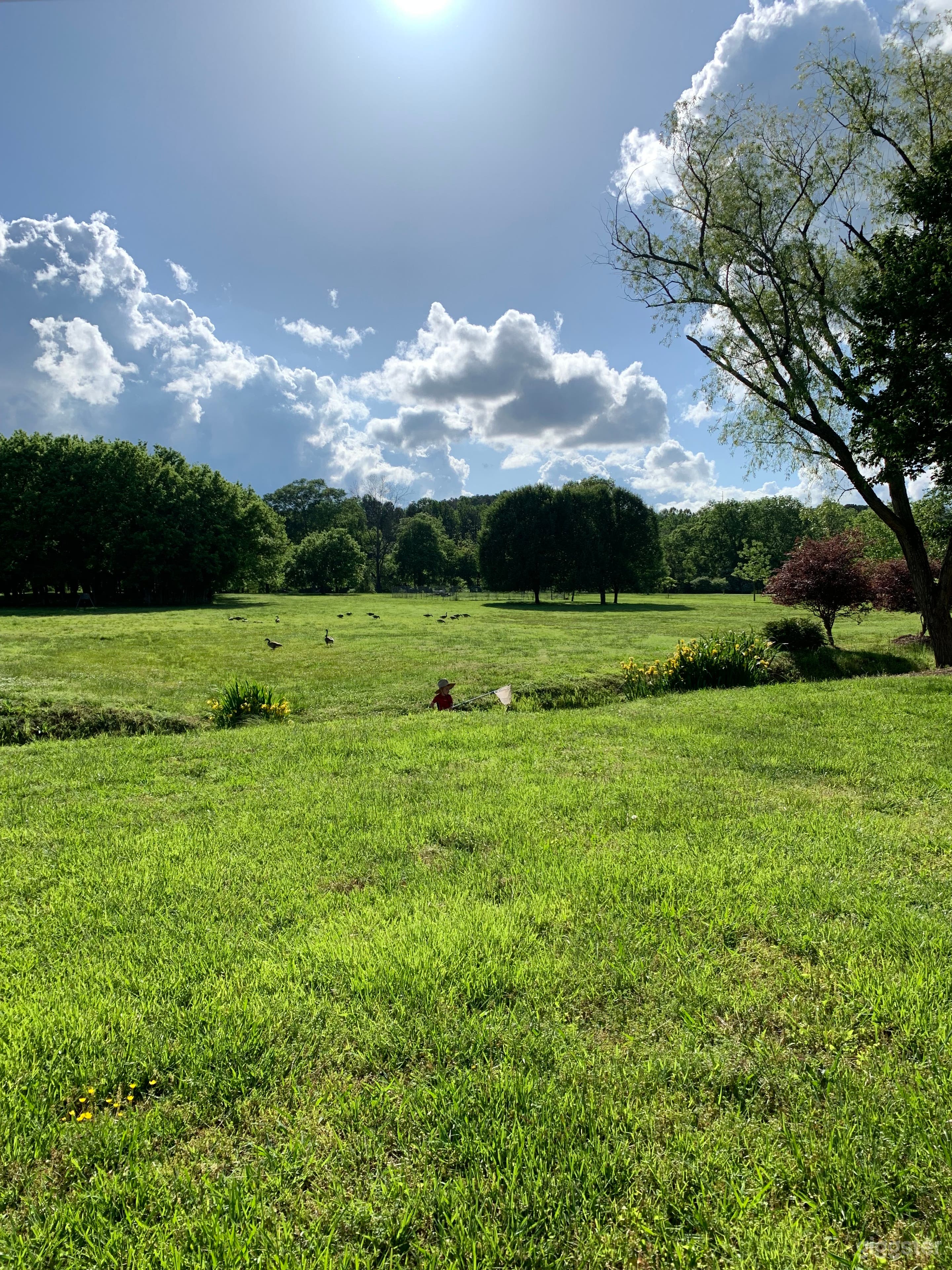 2 acres with creek and Chattahoochee river