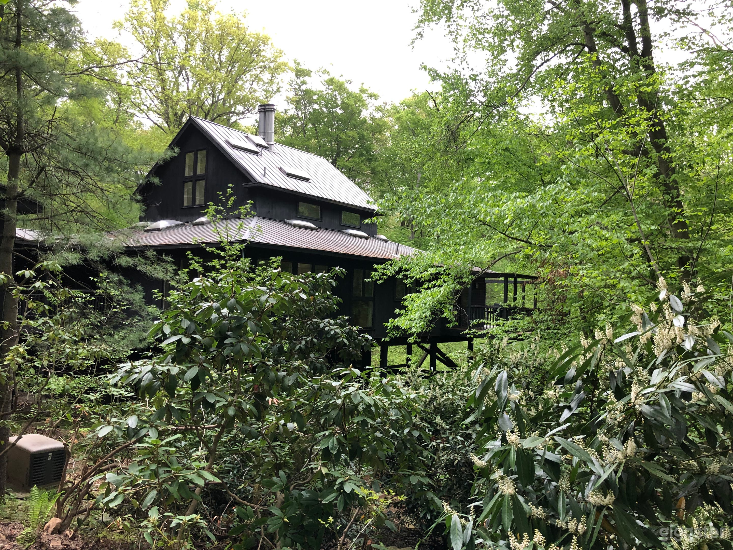 House is hidden among the vegetation 