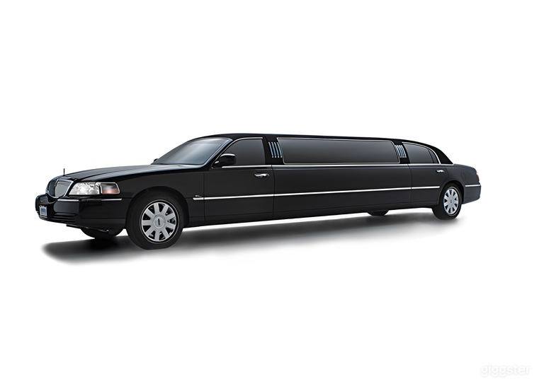  Executive Stretch Limousine Experience 
