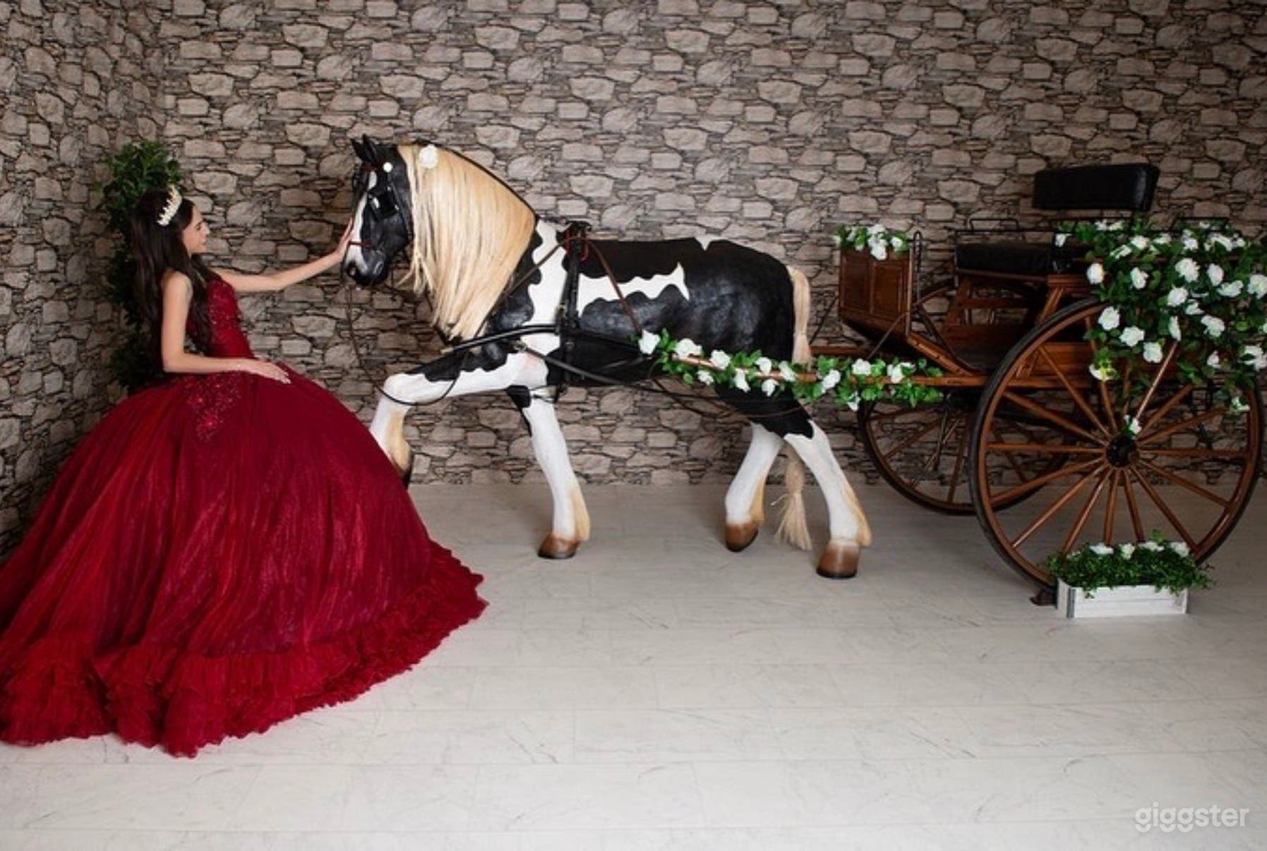 Horse drawn carriage Photo 3