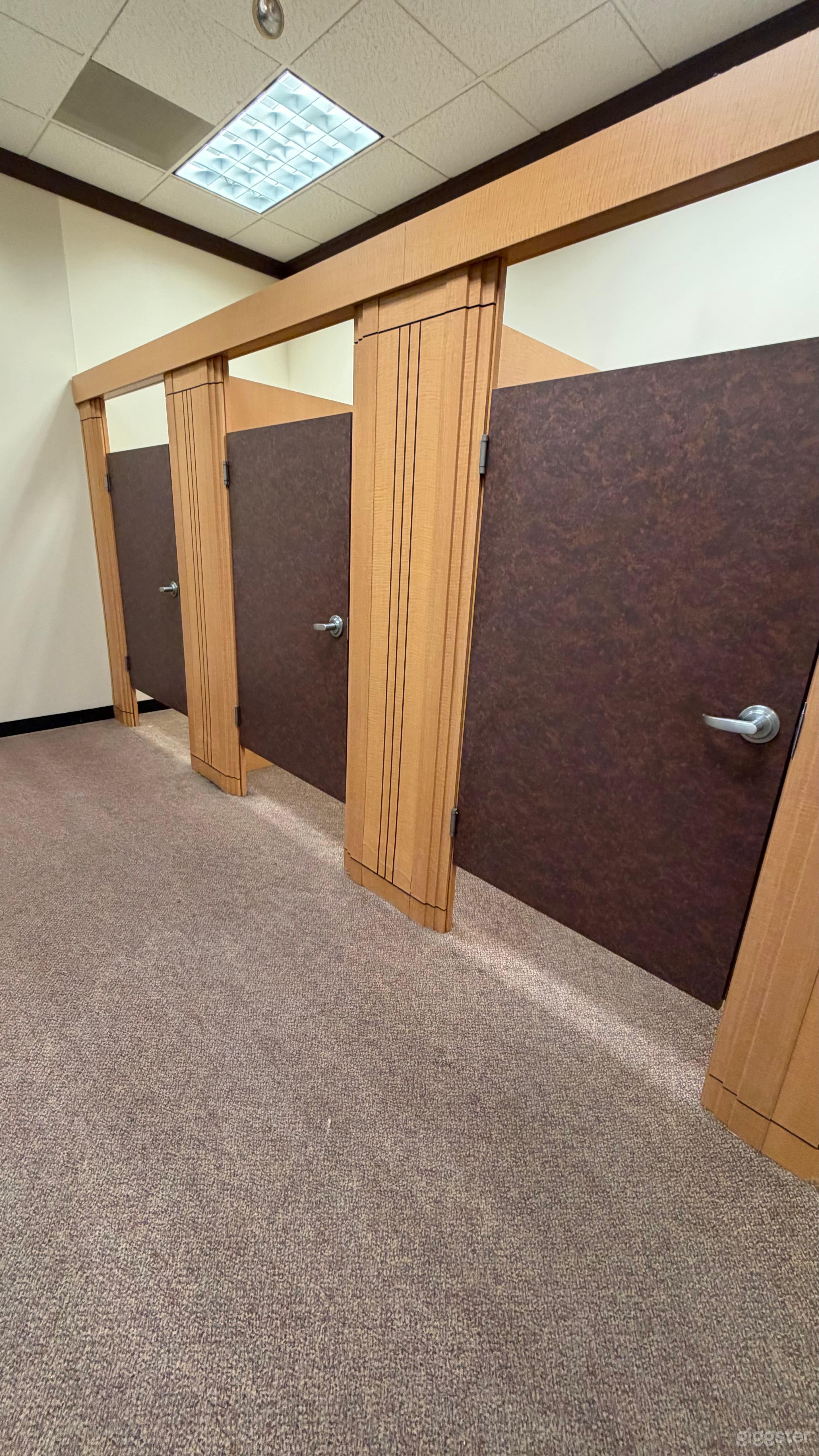 Horse drawn carriage Photo 4