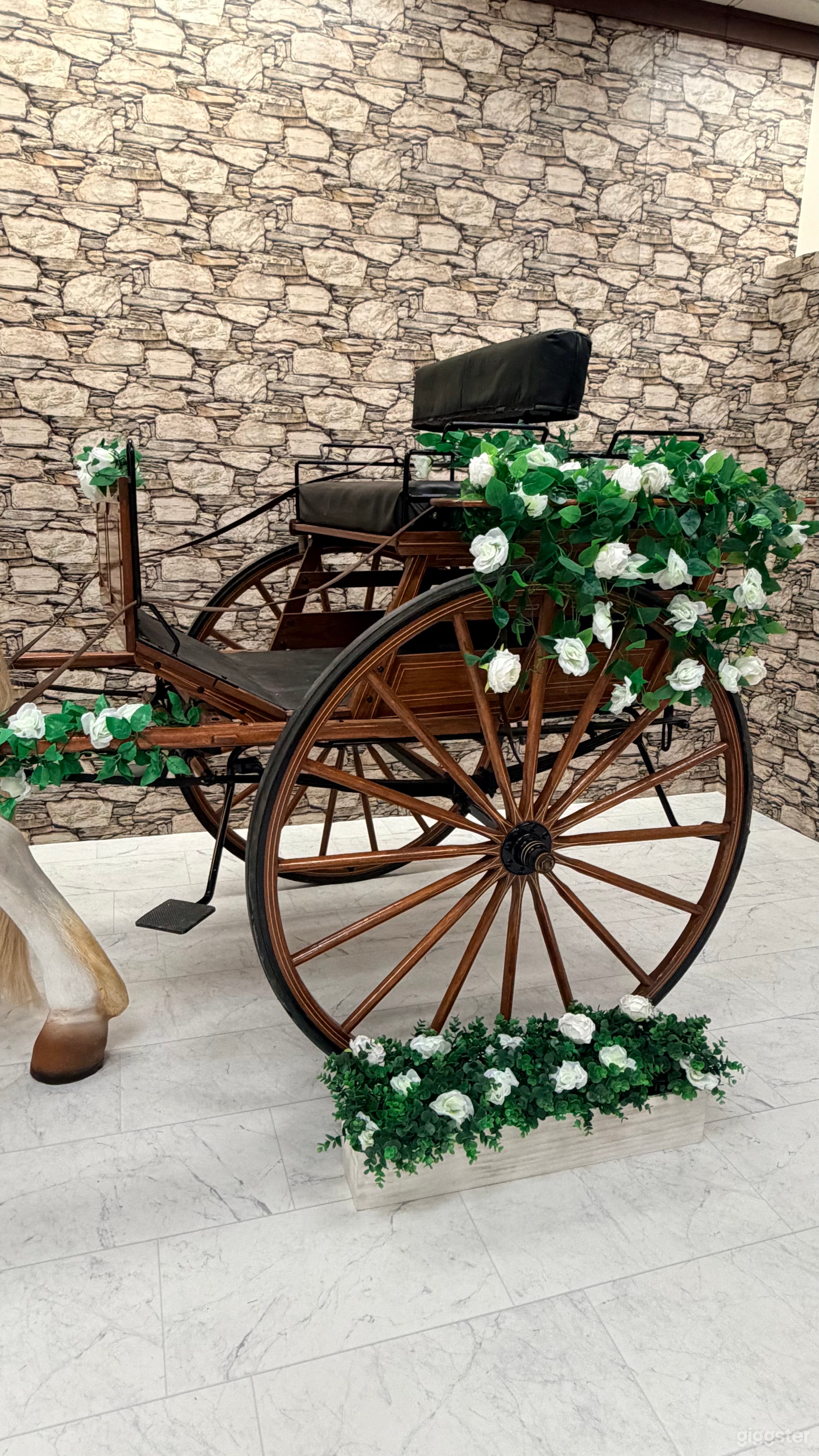 Horse drawn carriage Photo 2