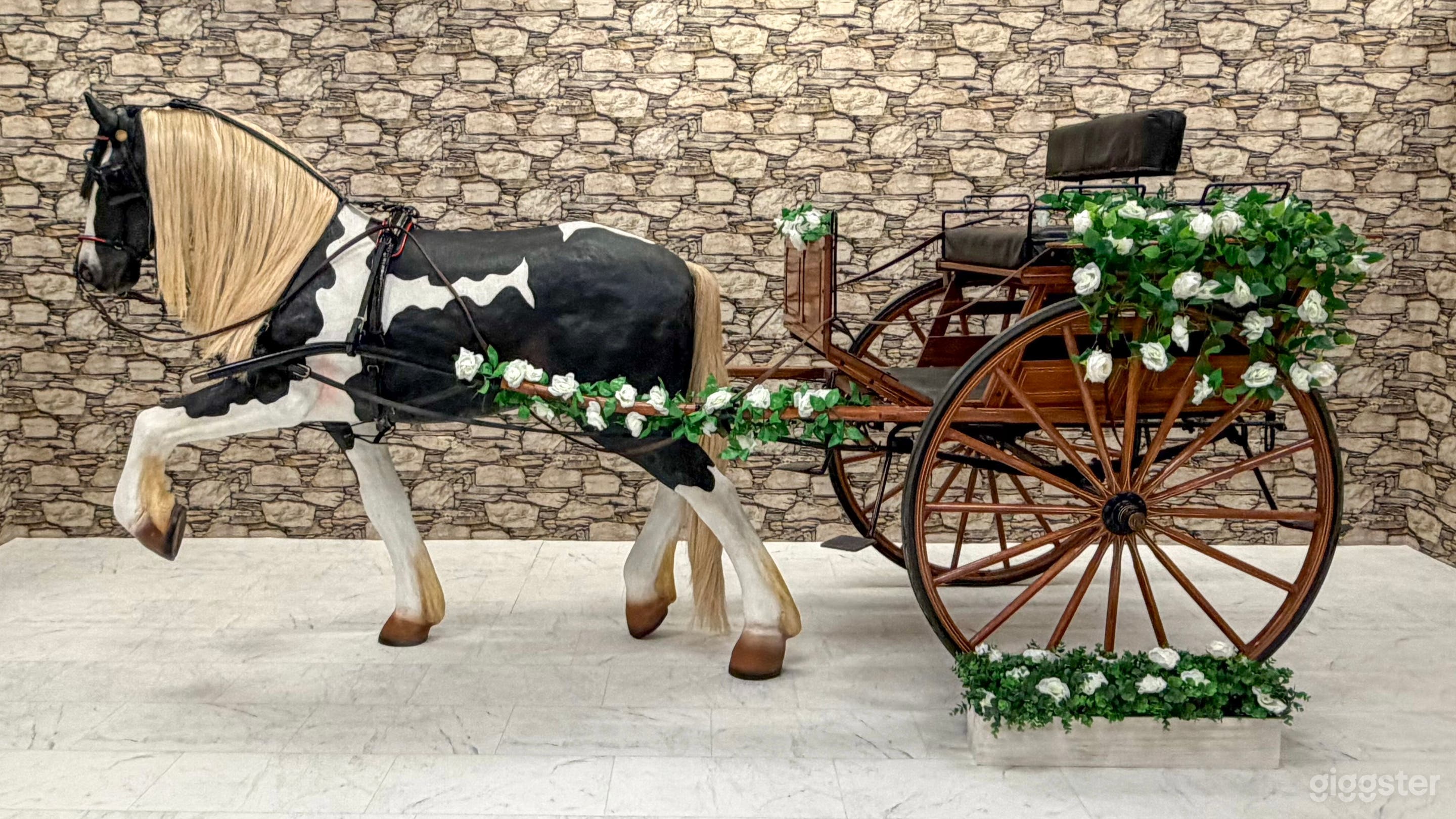 Horse drawn carriage Photo 1