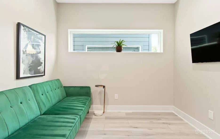 Luxury Townhome in East Downtown Houston Photo 4