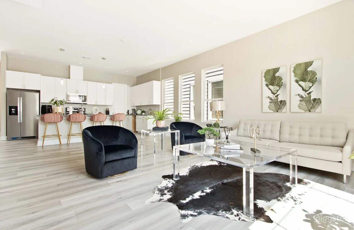 Luxury Townhome in East Downtown Houston Photo 1