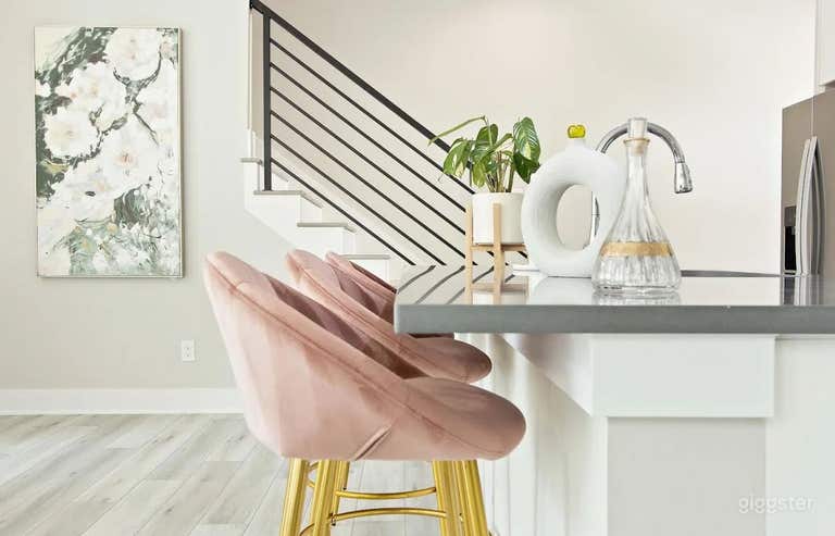  Luxury Townhome in East Downtown Houston 