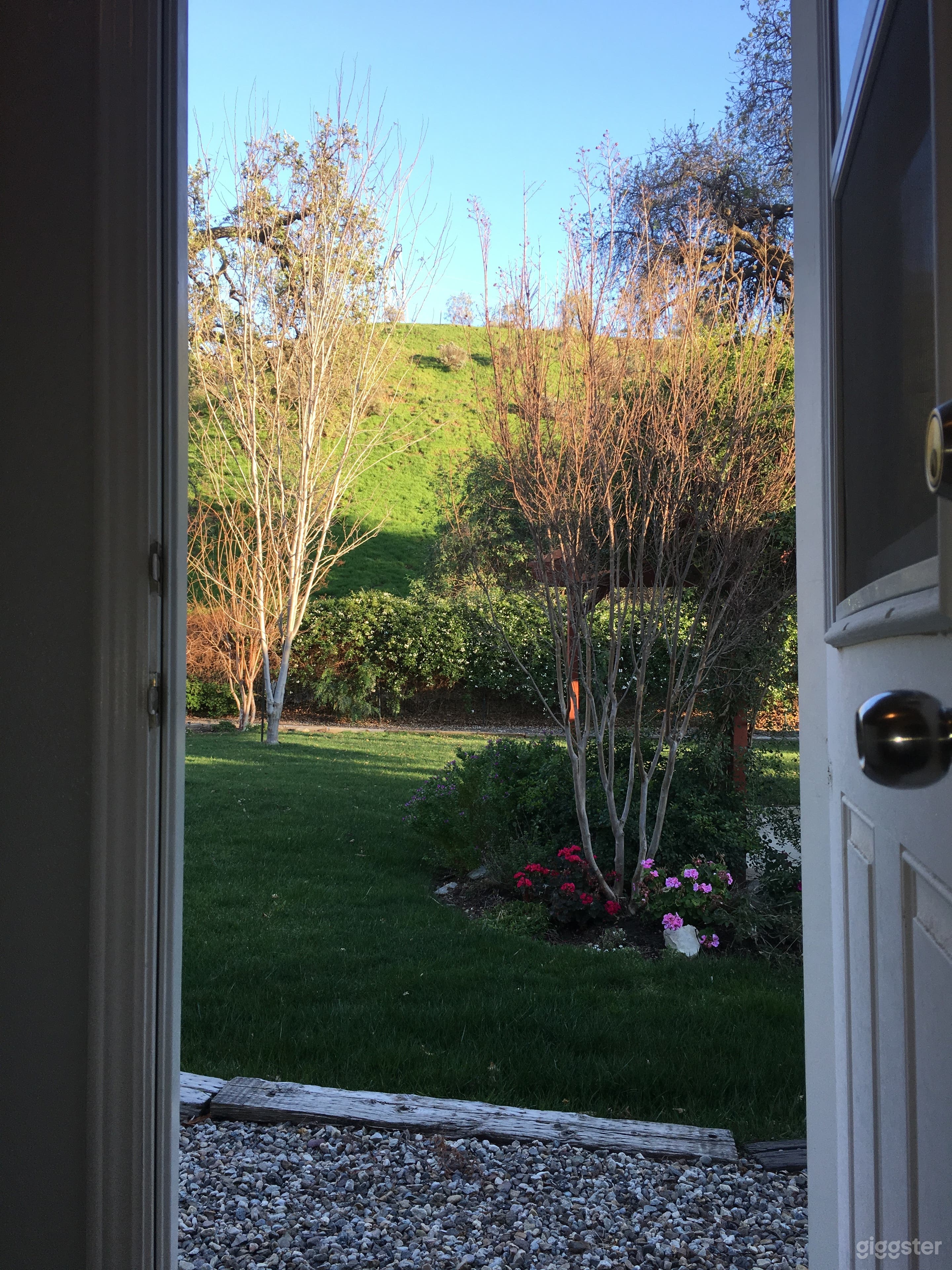 Looking out the back door. No neighbors