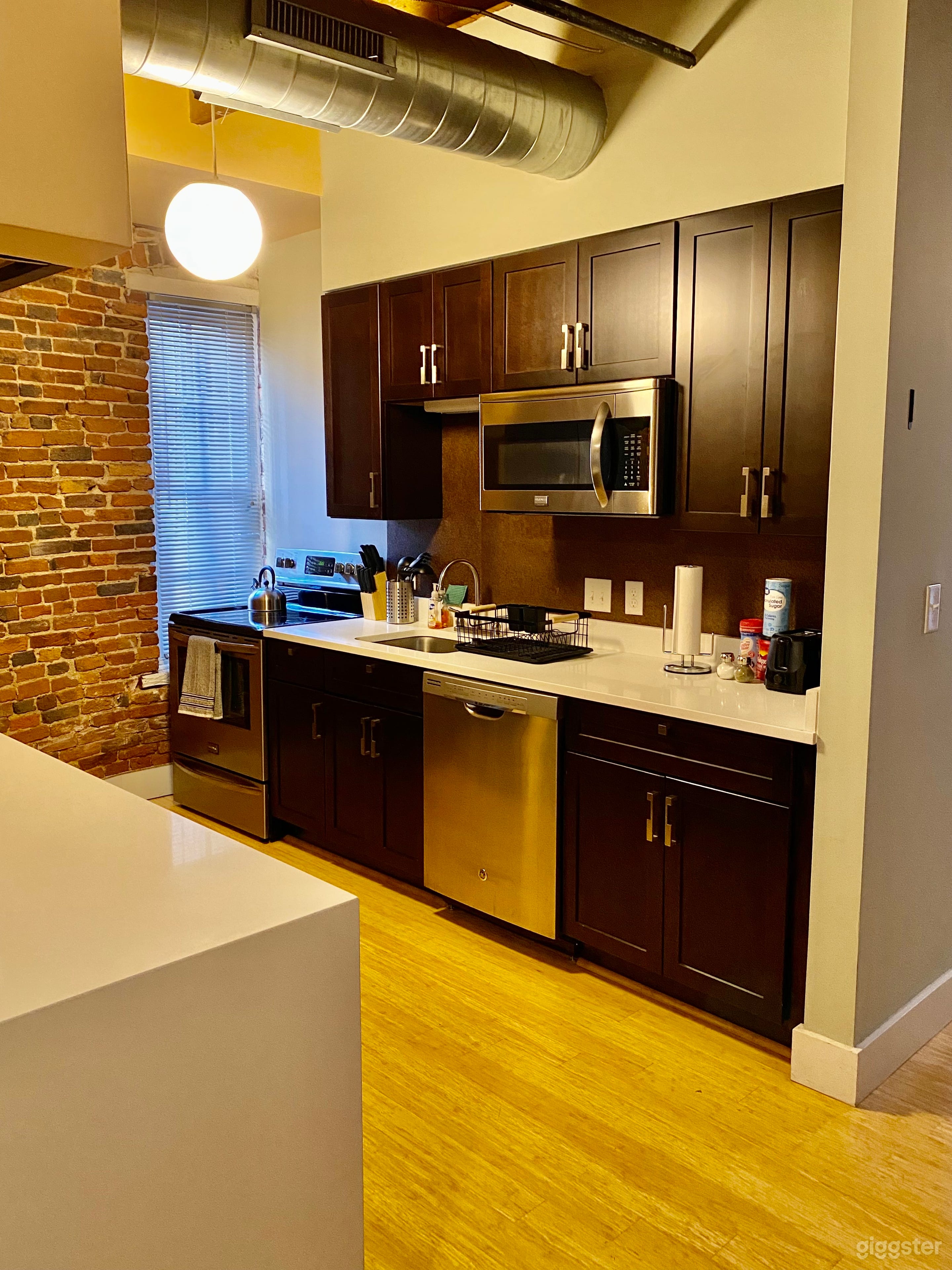 Urban Oasis with Charm City Character Photo 2