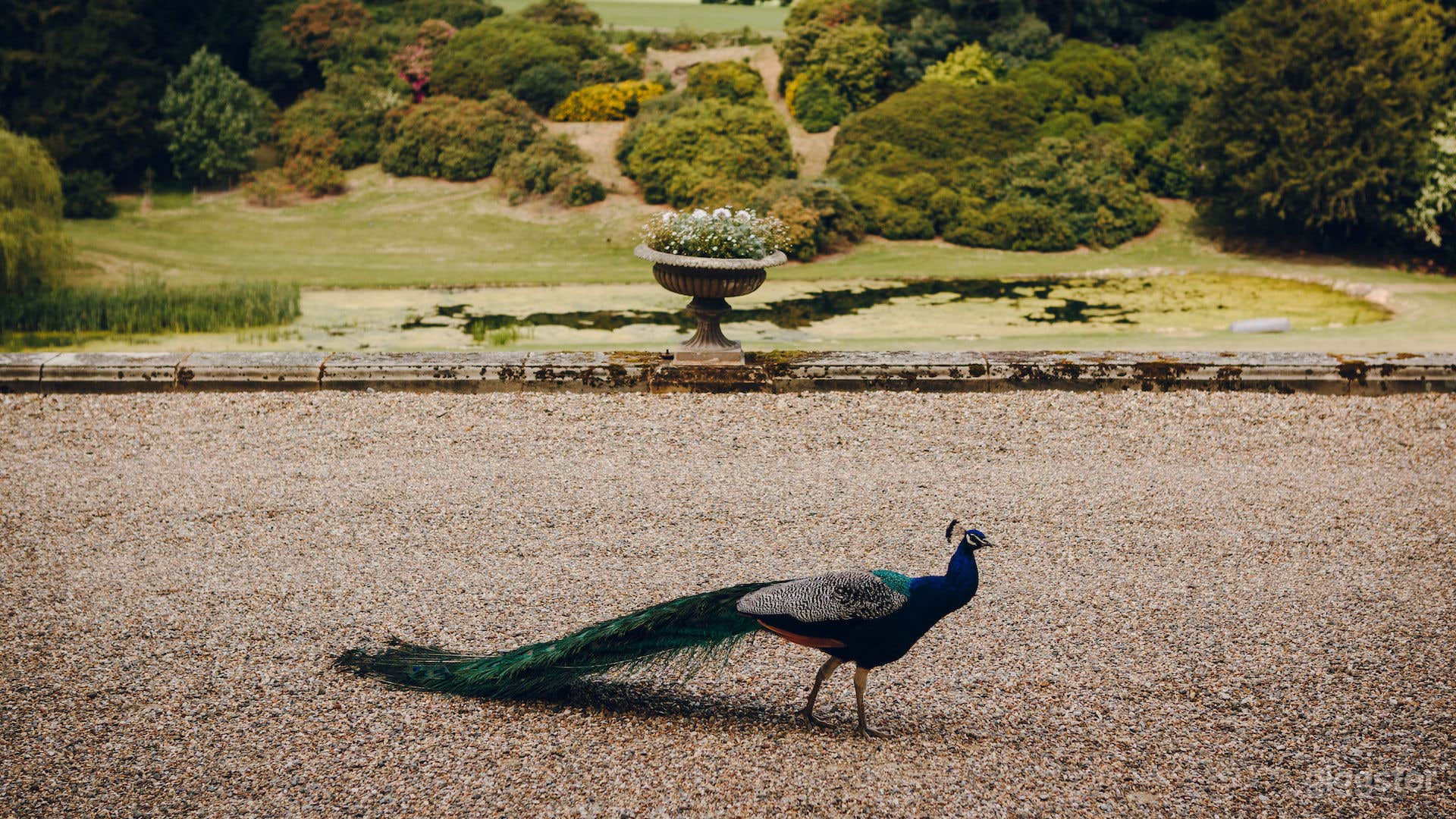 Amazingly versatile country Manor House  Photo 4