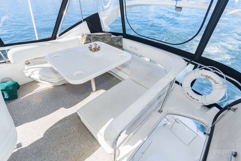 Seating for 12 in the flybridge 