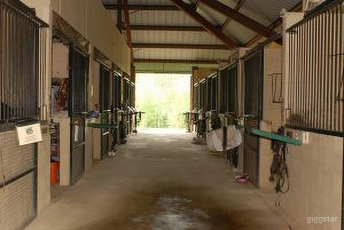 European English Farm Aisle with Horses and Stalls Photo 2