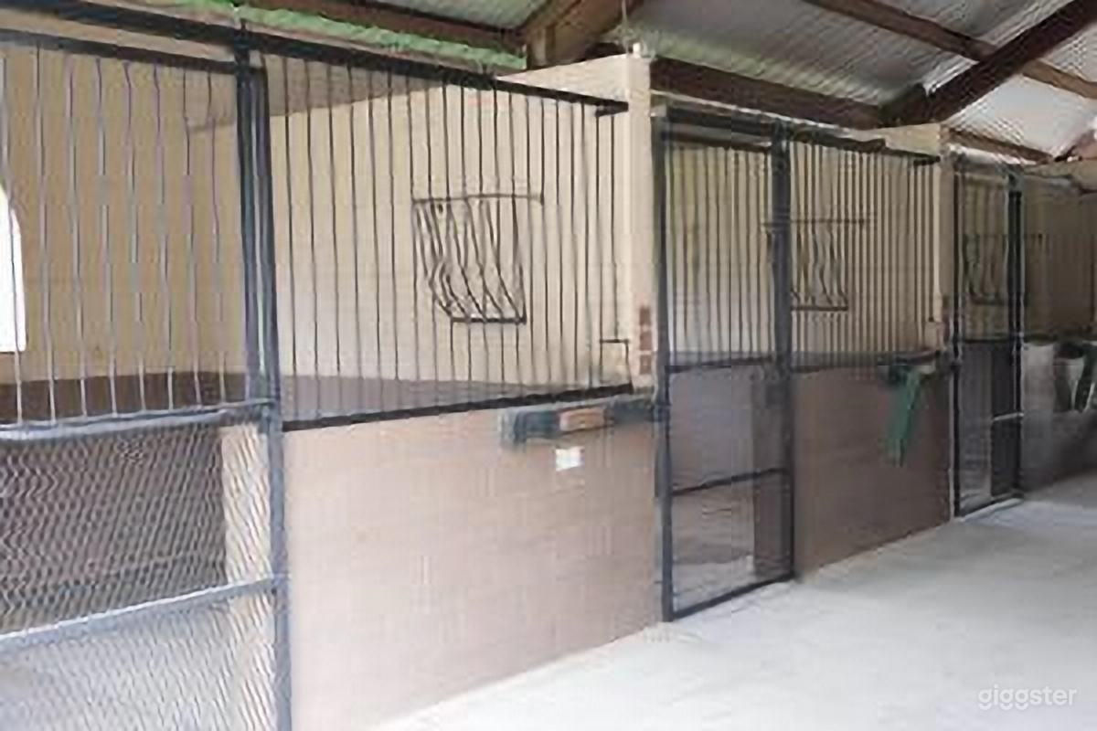 European English Farm Aisle with Horses and Stalls Photo 3