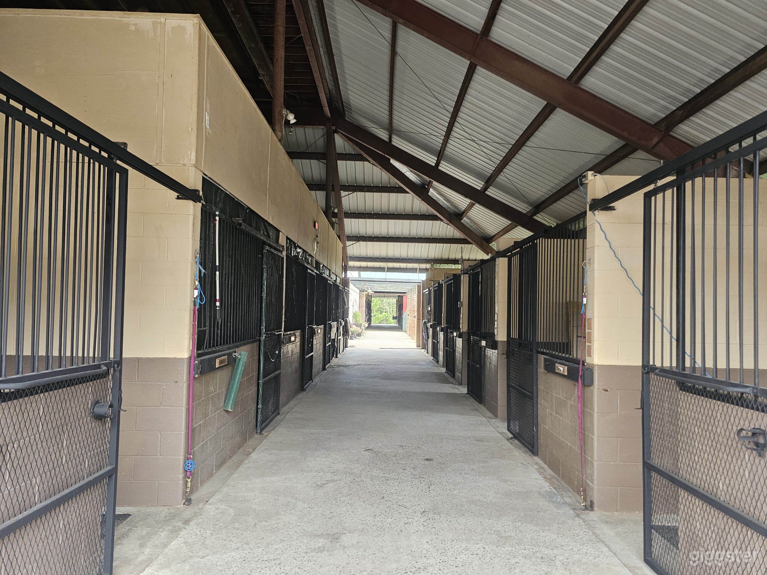 European English Farm Aisle with Horses and Stalls Photo 1
