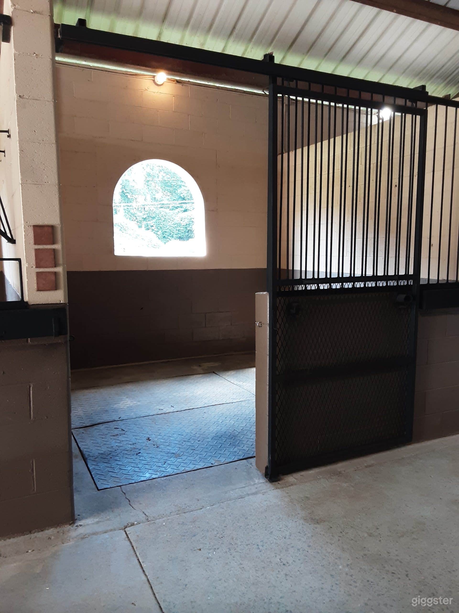 European English Farm Aisle with Horses and Stalls Photo 4