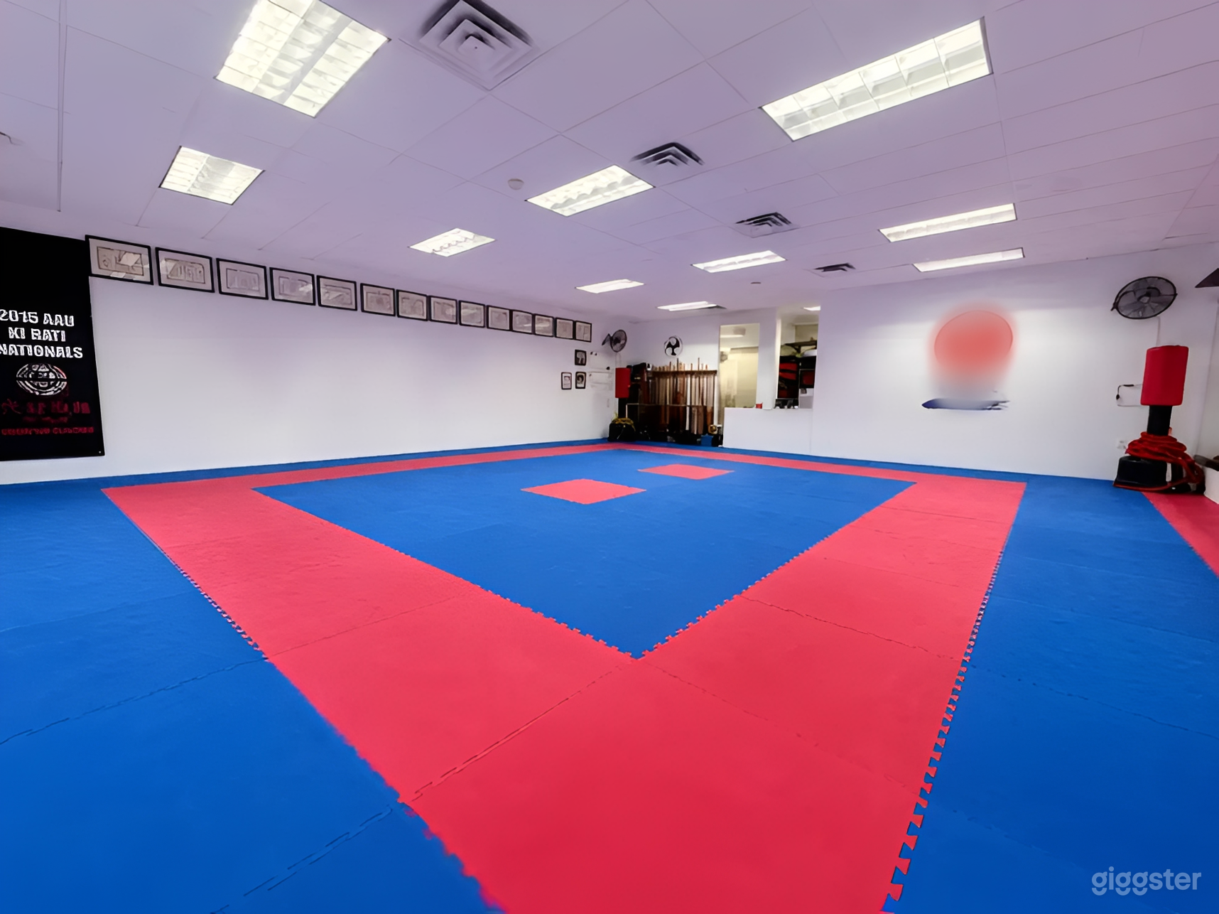 Martial Arts & Fitness Studio with Open Mat Space Photo 4