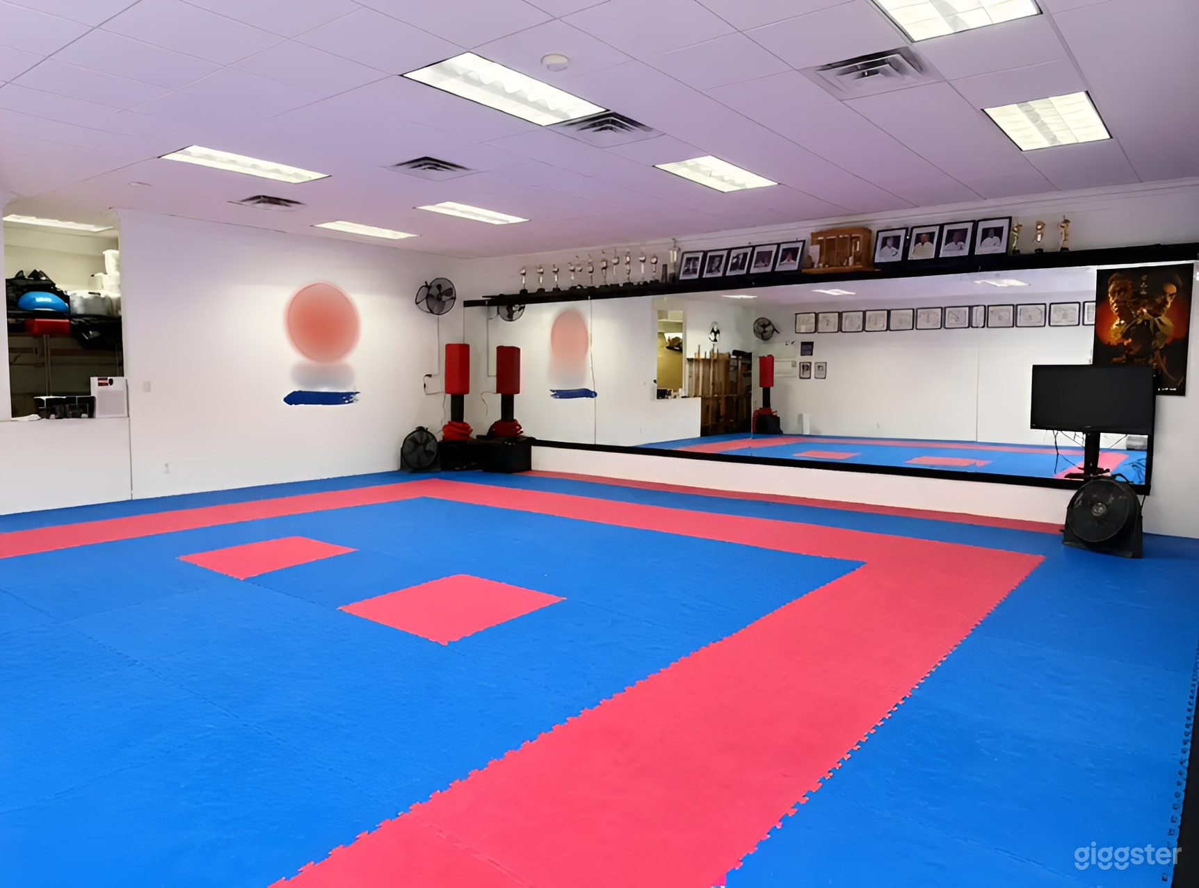 Martial Arts & Fitness Studio with Open Mat Space Photo 3