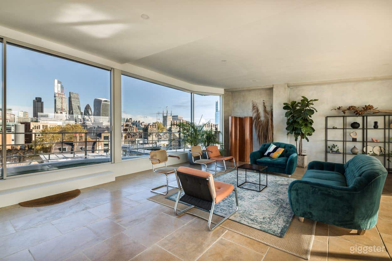 Penthouse with Natural Light Photo 1