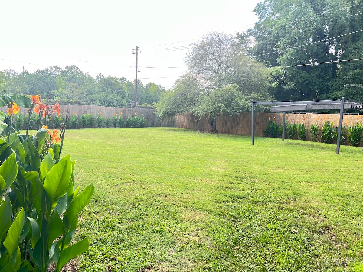 Wide Open Green Space