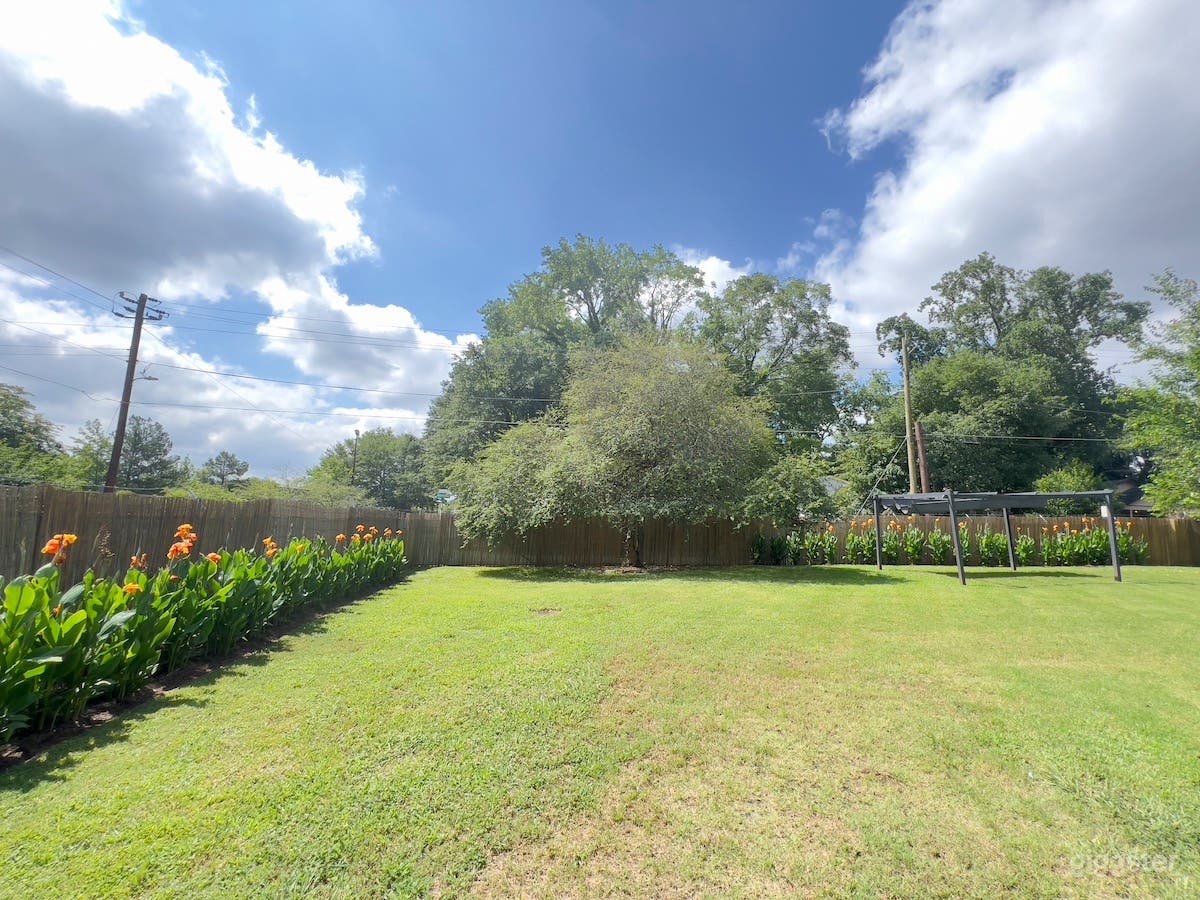 Wide Open Green Space