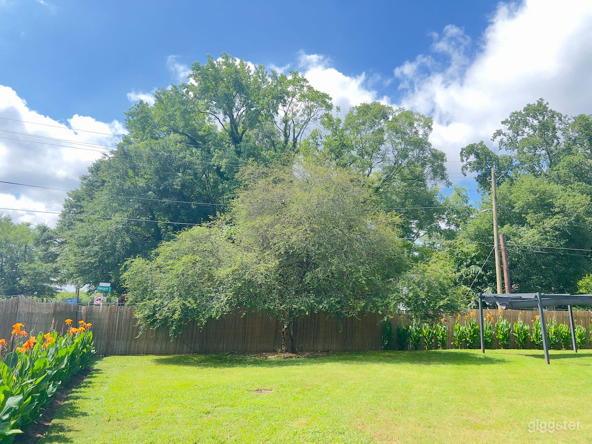 Wide Open Green Space