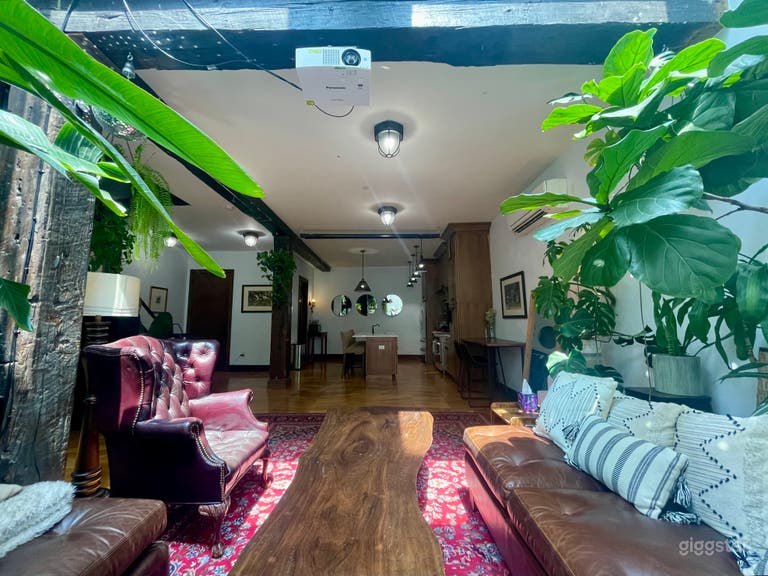  Luxury Mid-Century Modern Oasis in Williamsburg 